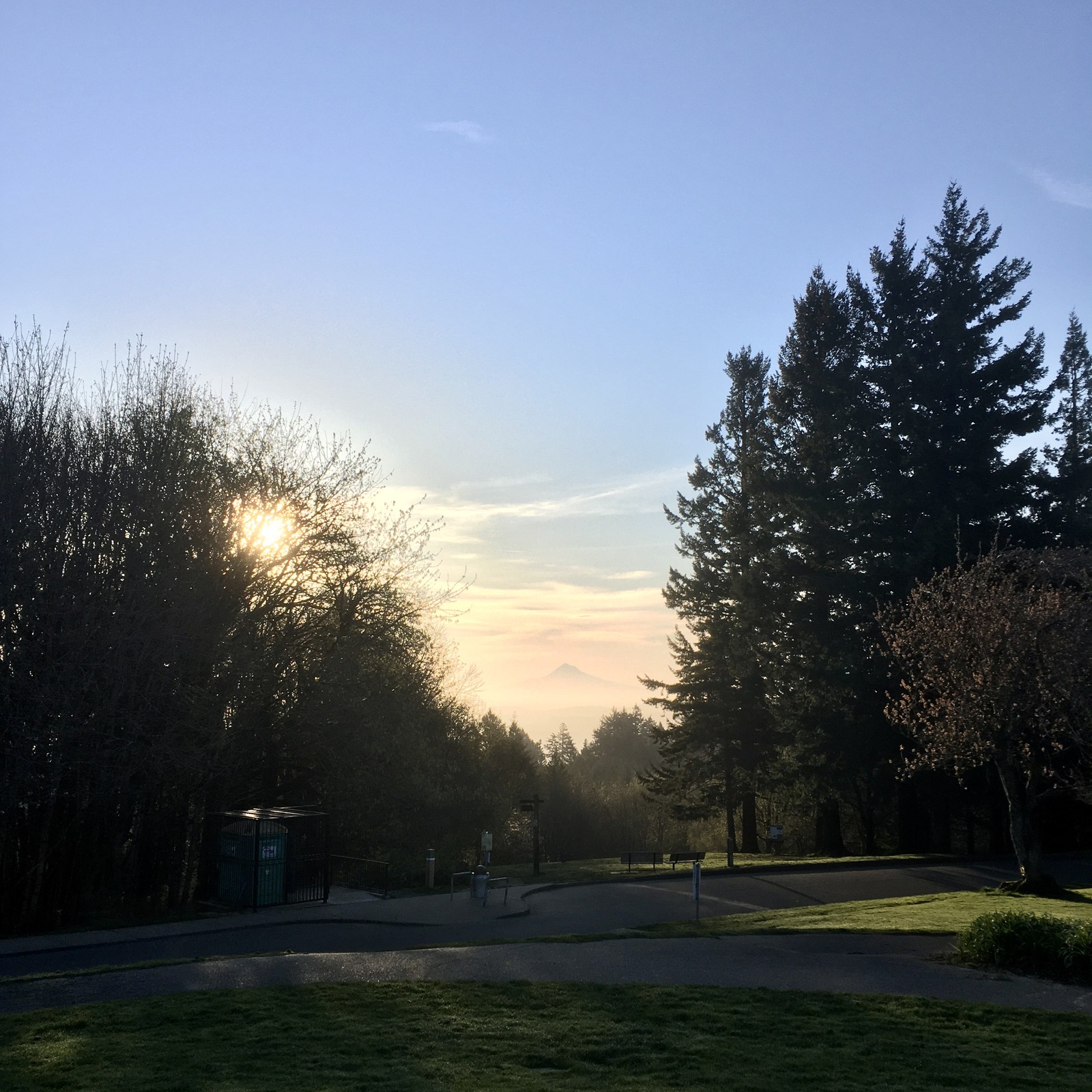 View from Council Crest toward Mt. Hood, which is visible