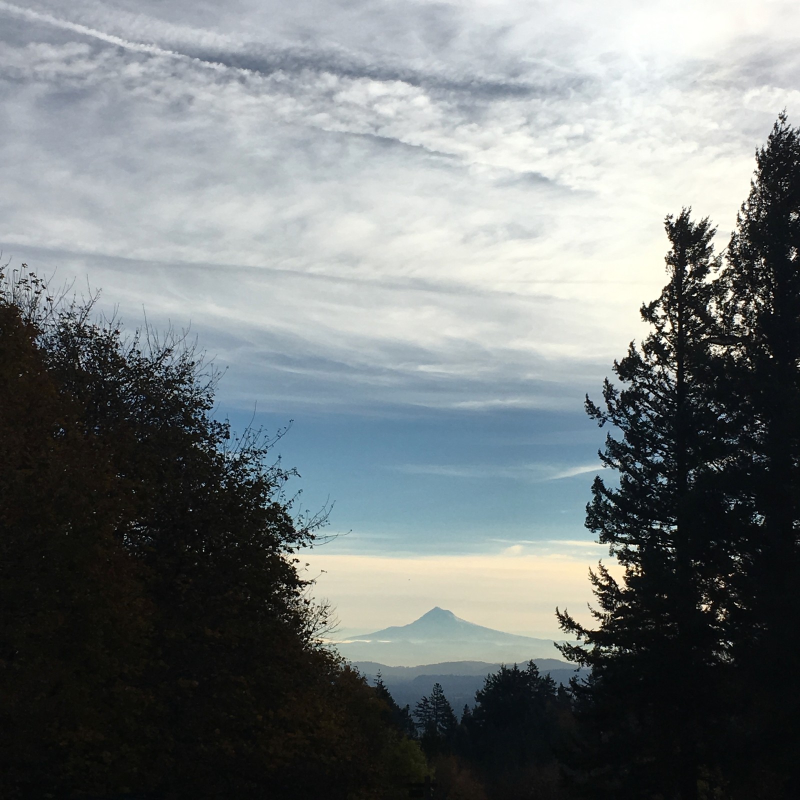 View from Council Crest toward Mt. Hood, which is visible