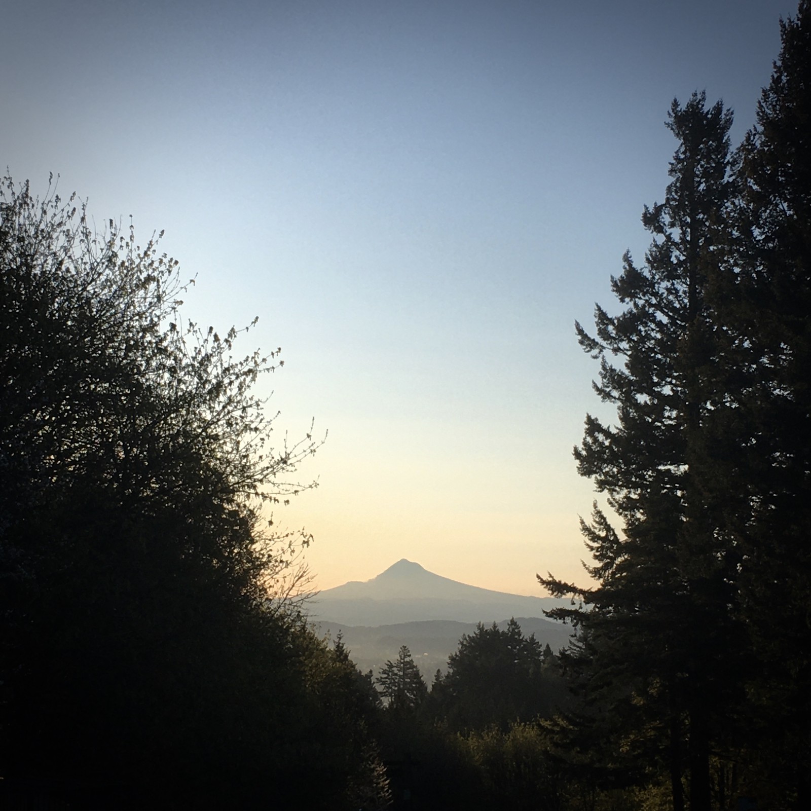 View from Council Crest toward Mt. Hood, which is visible