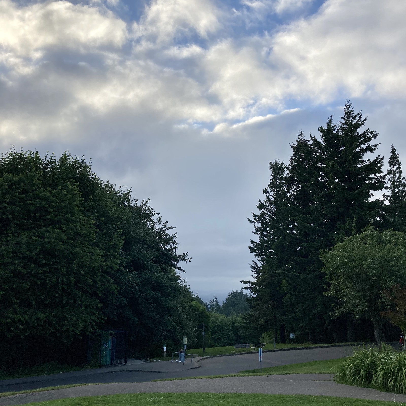 View from Council Crest toward Mt. Hood, which is NOT visible