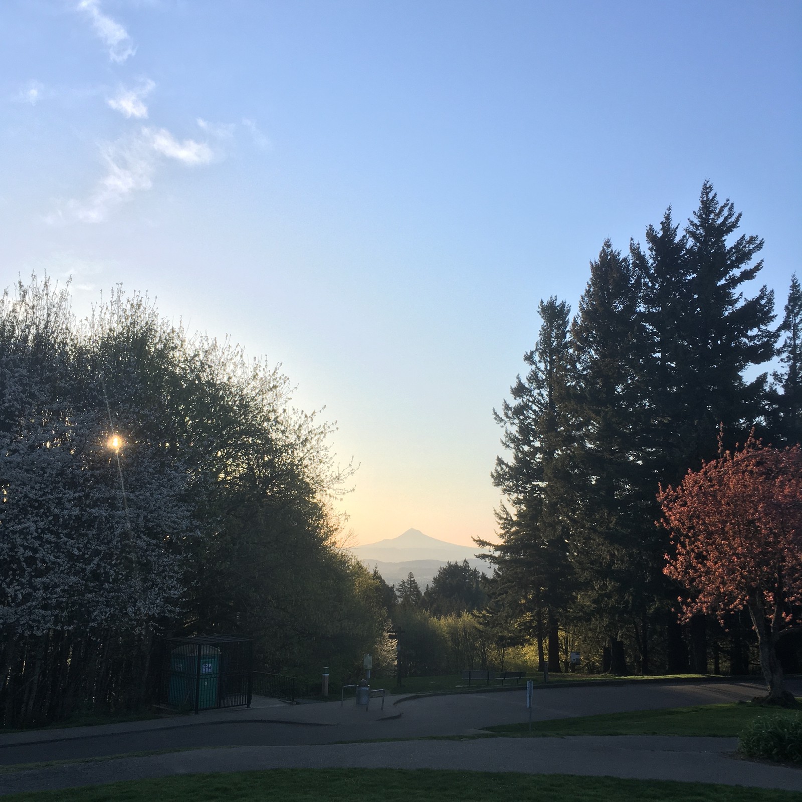 View from Council Crest toward Mt. Hood, which is visible