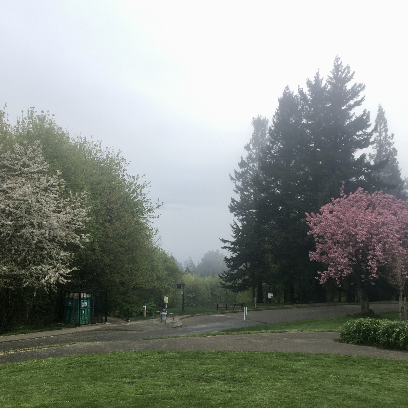 View from Council Crest toward Mt. Hood, which is NOT visible