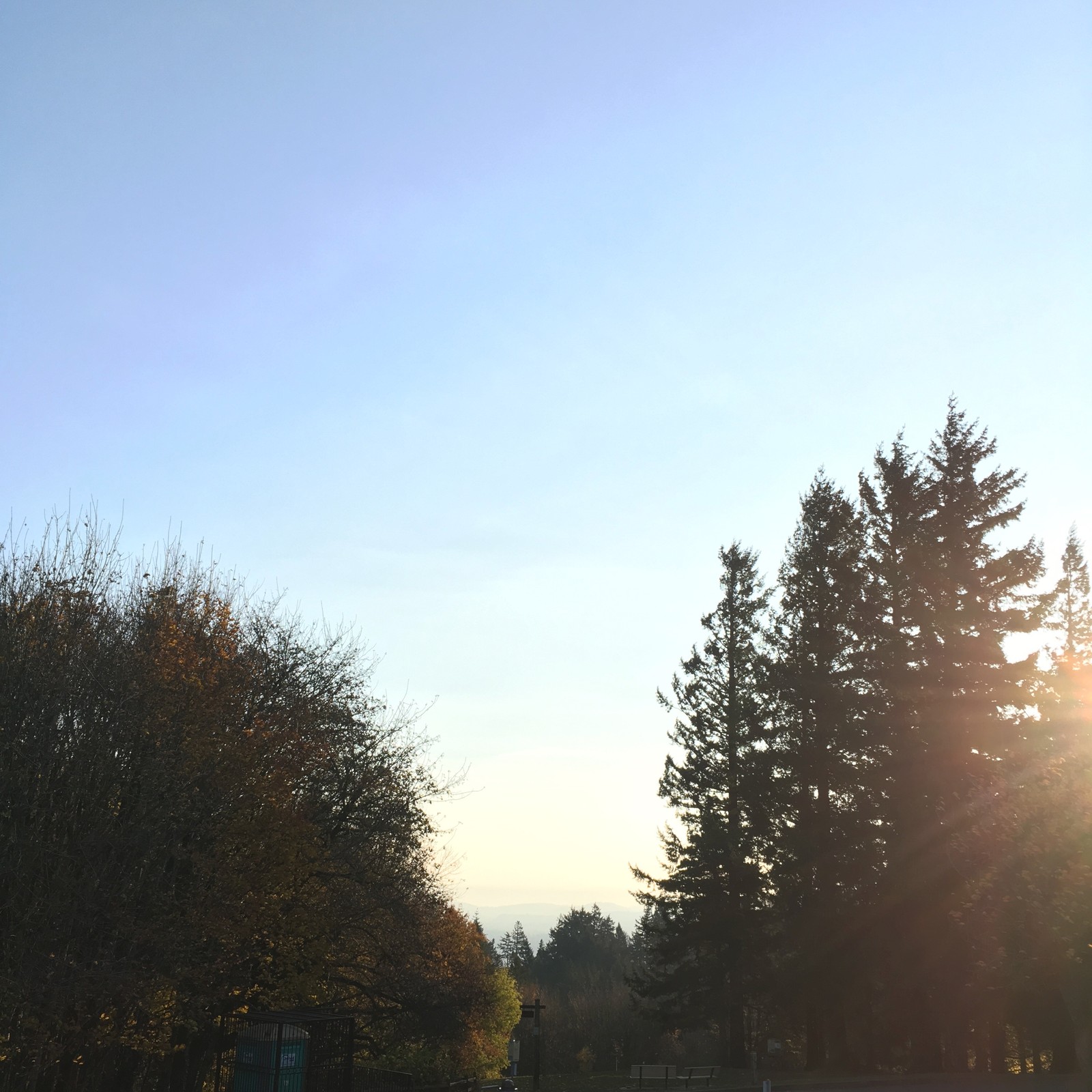 View from Council Crest toward Mt. Hood, which is NOT visible