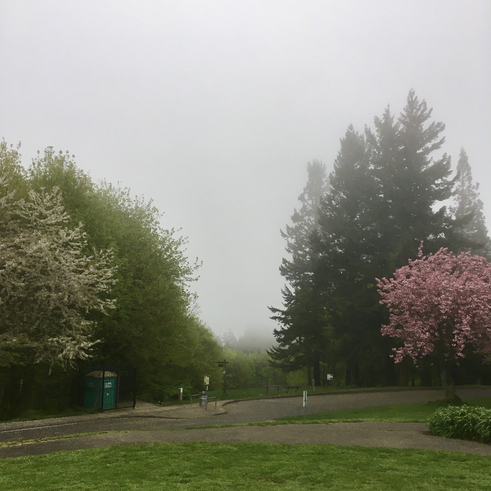 View from Council Crest toward Mt. Hood, which is NOT visible