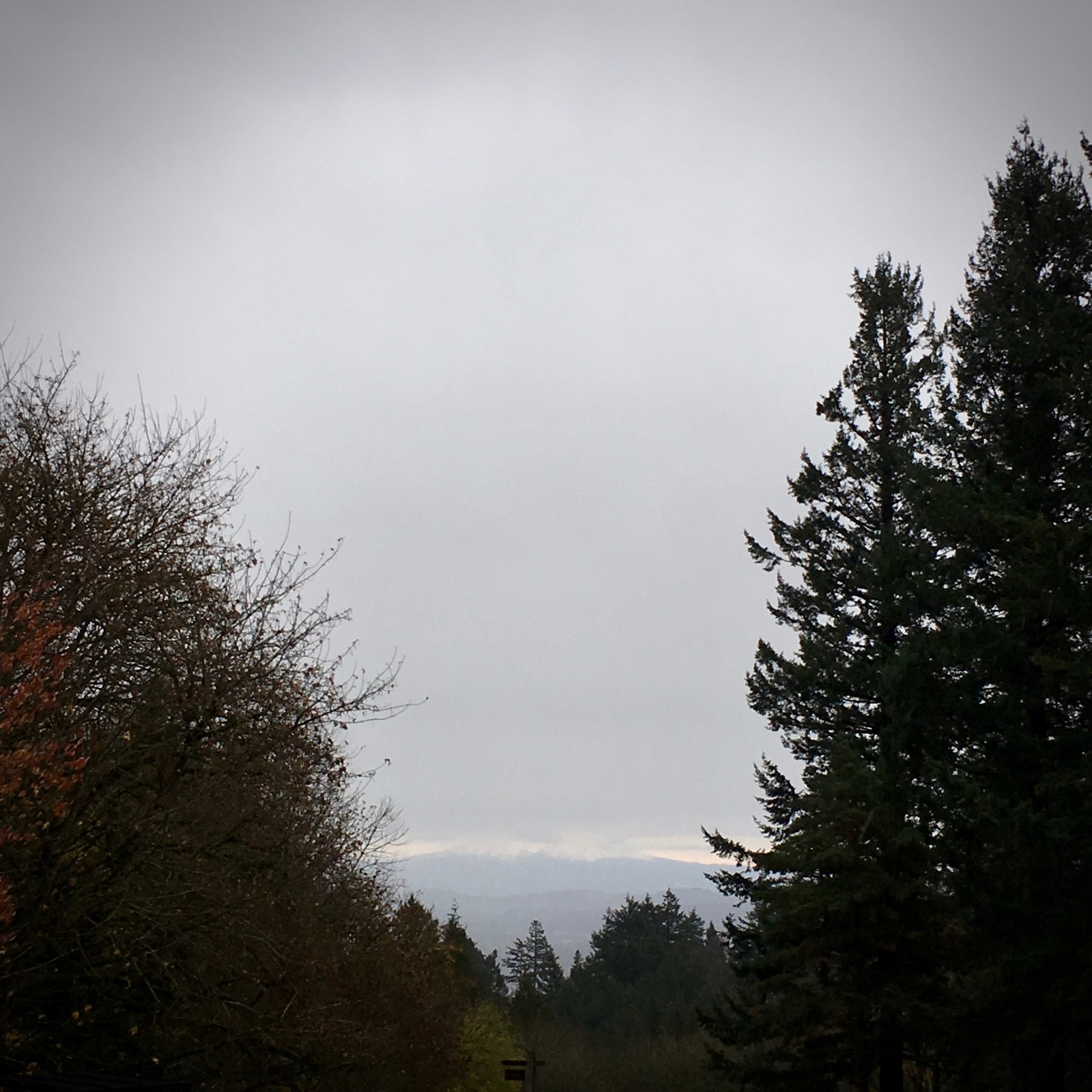 View from Council Crest toward Mt. Hood, which is visible