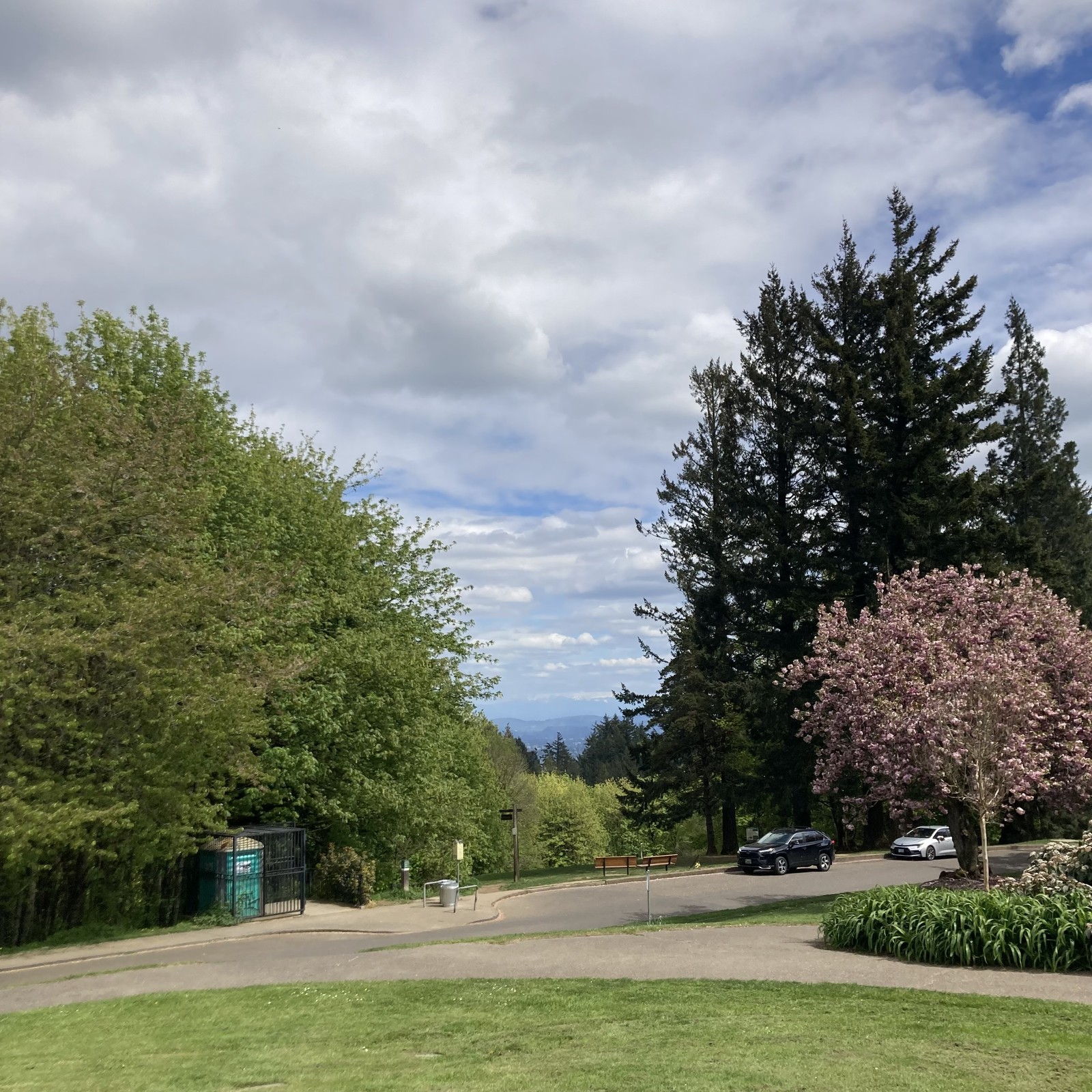 The usual semi cloudy April sky. The lower portions of mt hood above the timber line are visible