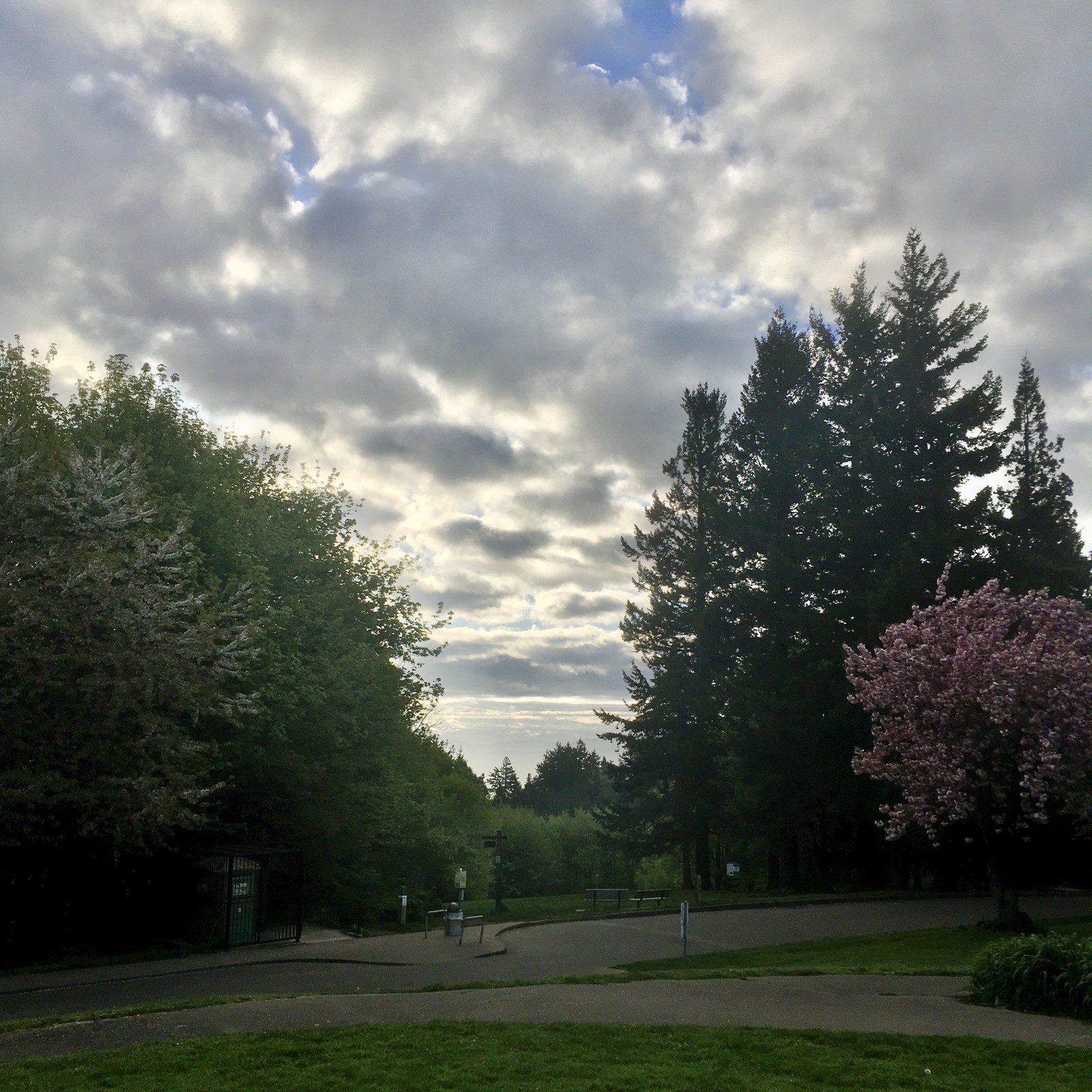 View from Council Crest toward Mt. Hood, which is NOT visible