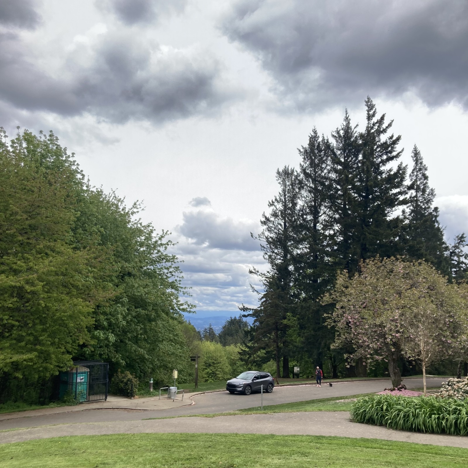 Cloudy. Cool. Gray. Green. No mountain.
