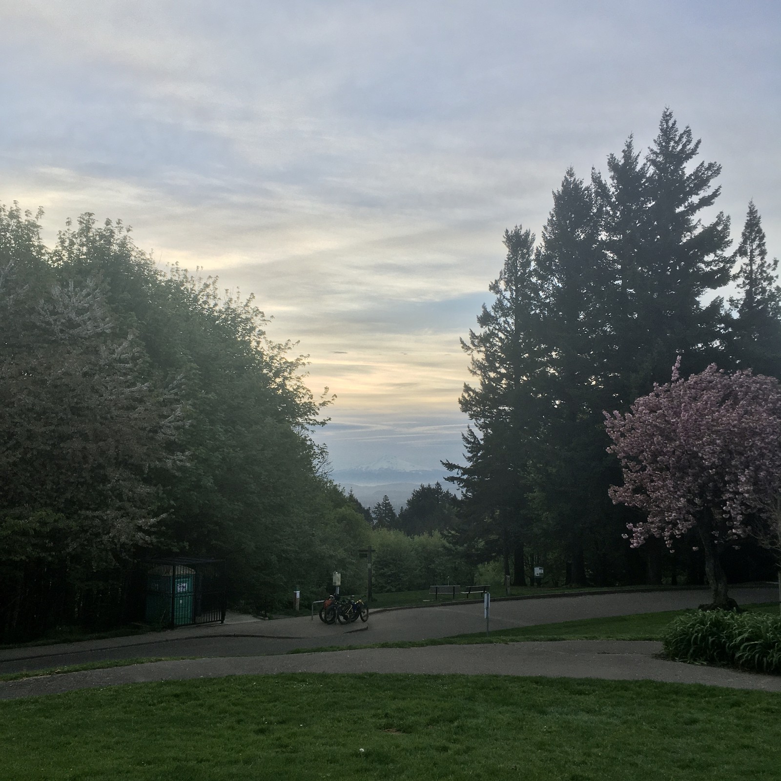 View from Council Crest toward Mt. Hood, which is visible
