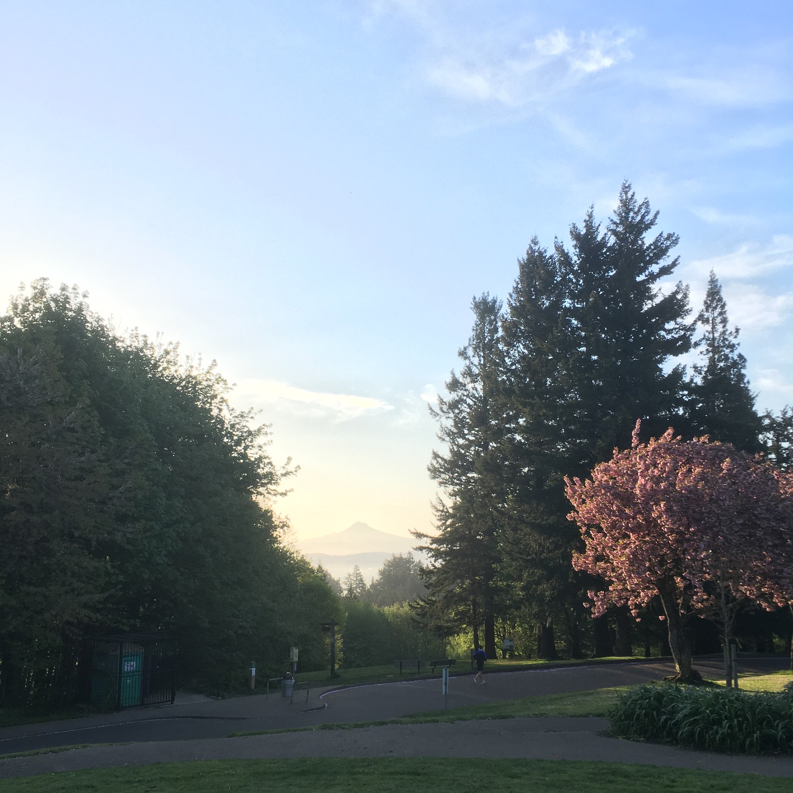 View from Council Crest toward Mt. Hood, which is visible