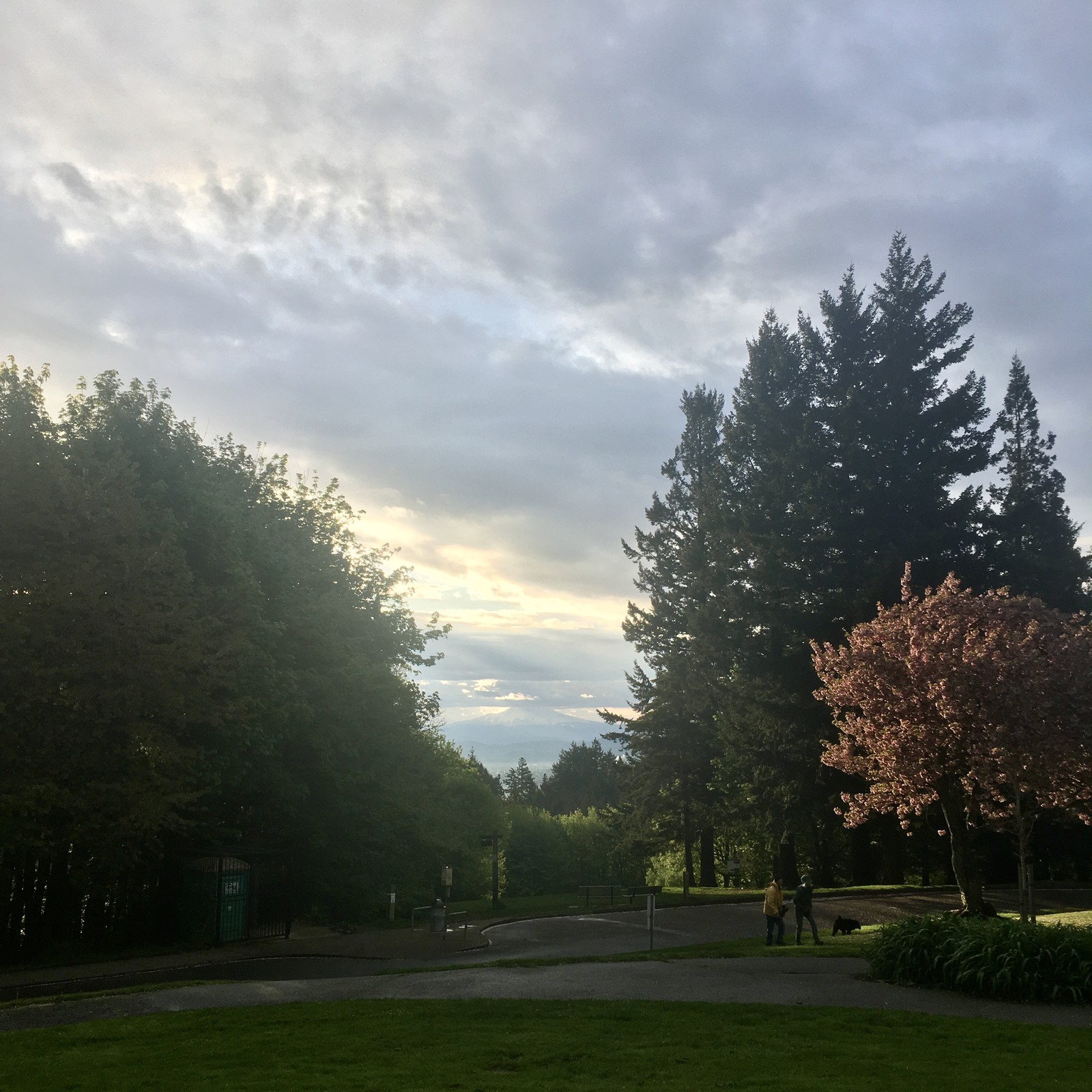 View from Council Crest toward Mt. Hood, which is visible