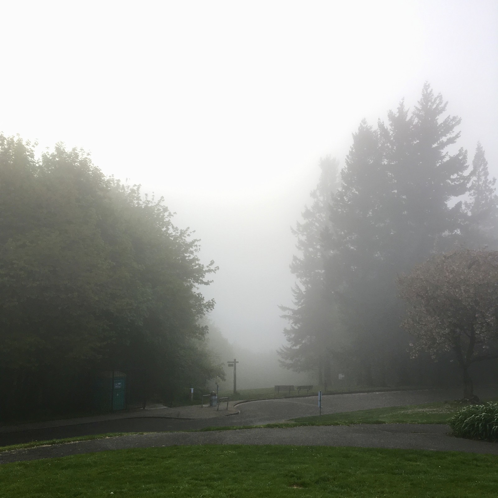 View from Council Crest toward Mt. Hood, which is NOT visible