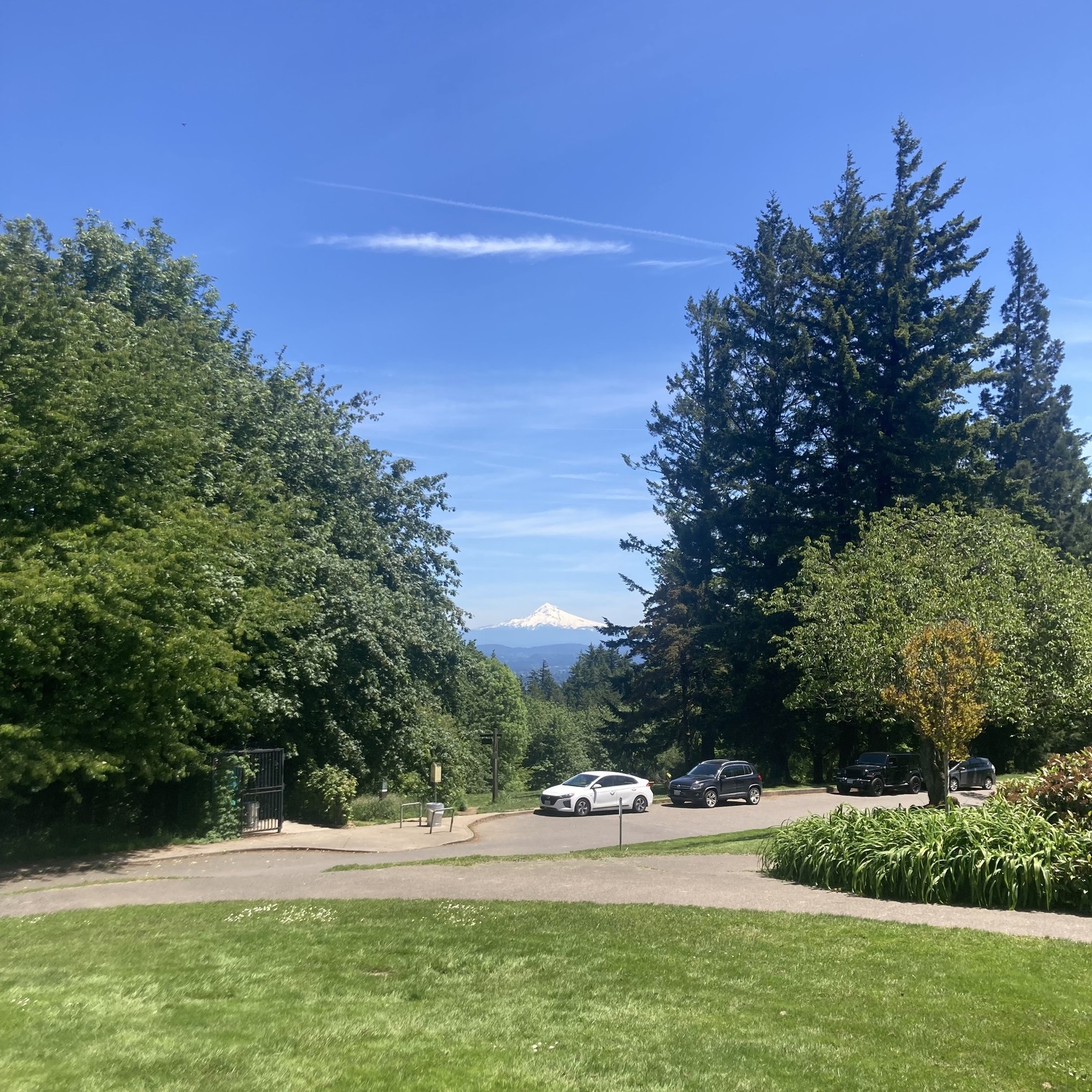 Mt Hood is very snowy under a crisp blue sky. Portland is at exactly the perfect temperature and state of greenness