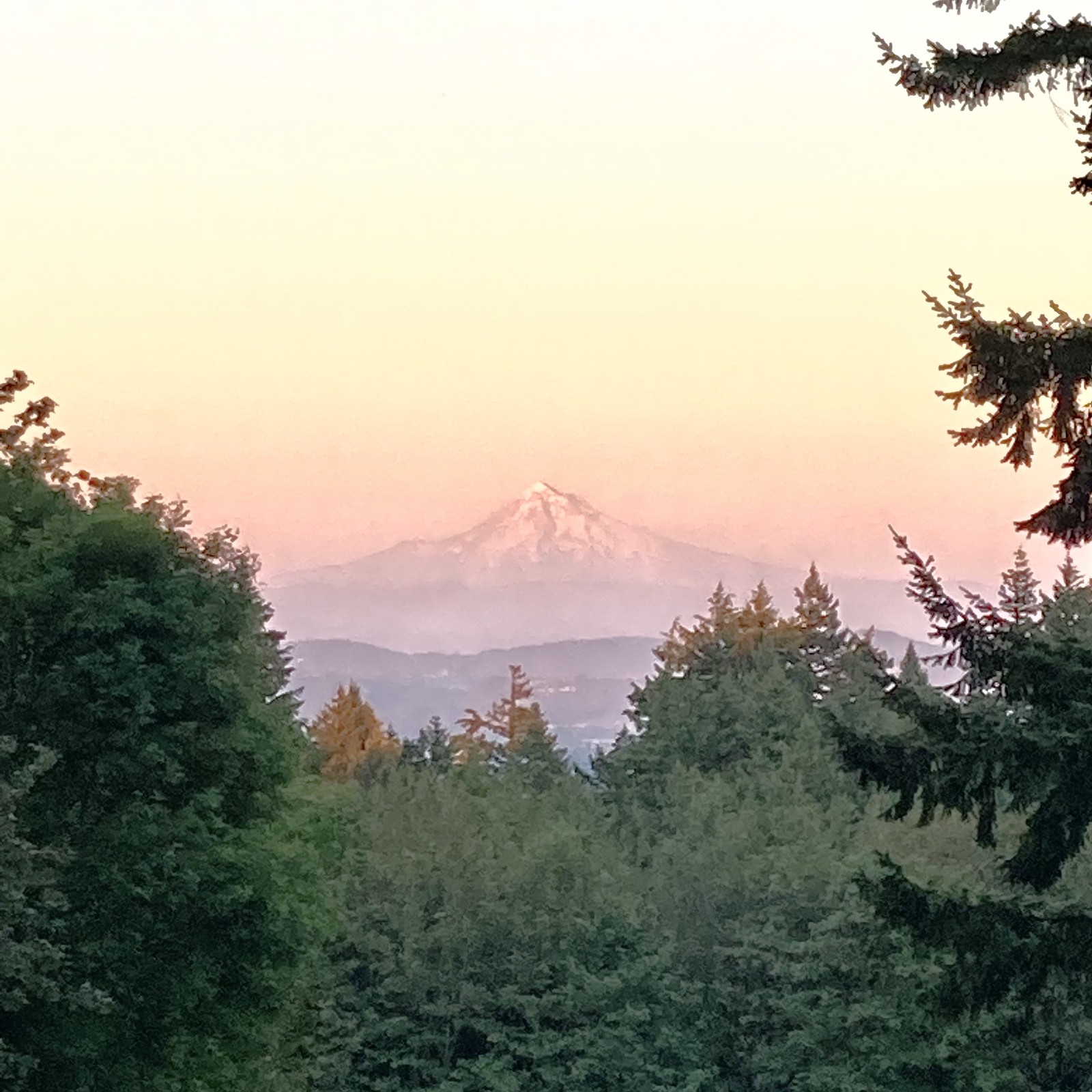 View from Council Crest toward Mt. Hood, which is visible