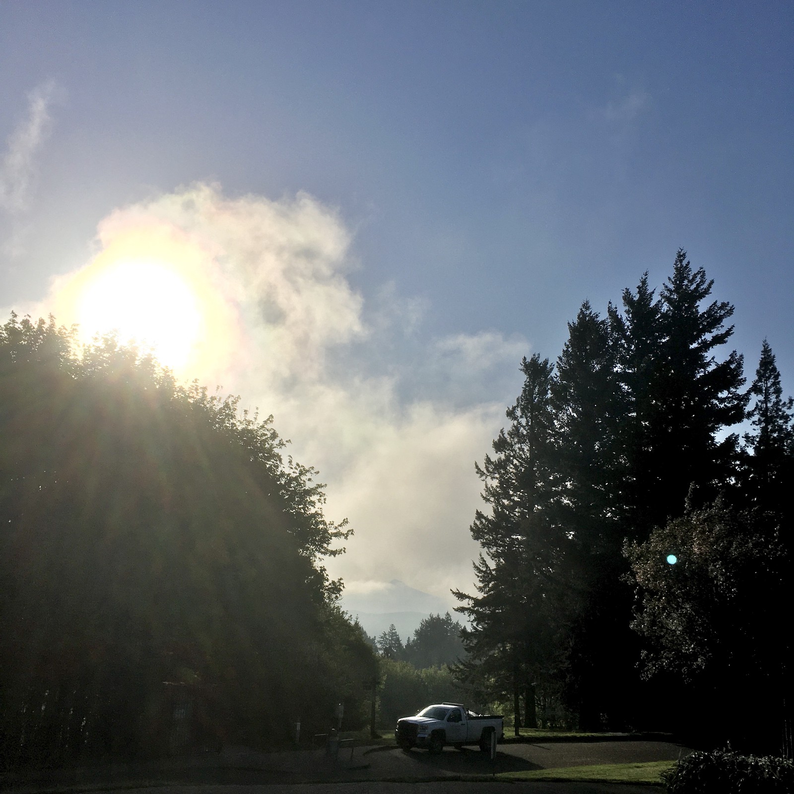 View from Council Crest toward Mt. Hood, which is visible