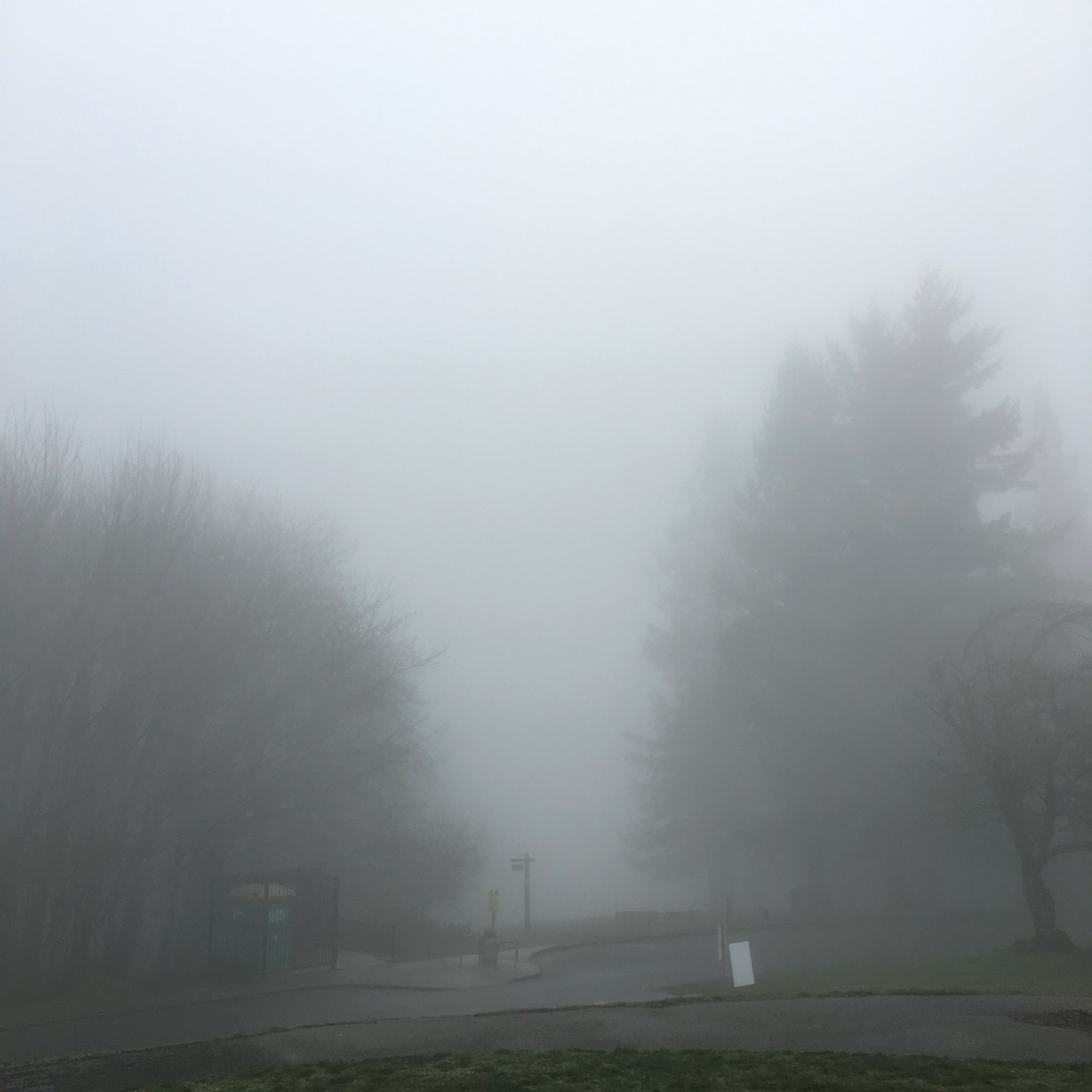 View from Council Crest toward Mt. Hood, which is NOT visible
