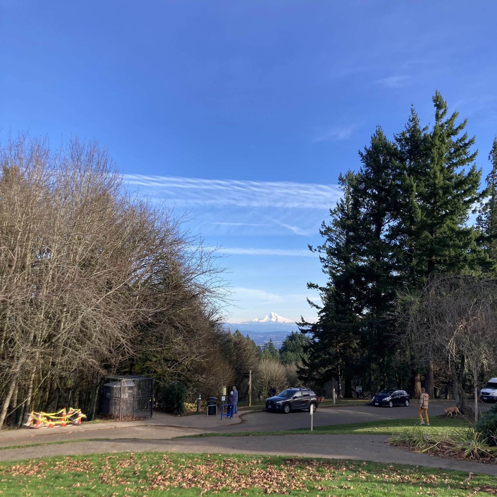 Crisp fall day, low sunlight, deep blue sky, snow mountain, many people and dogs enjoying the park
