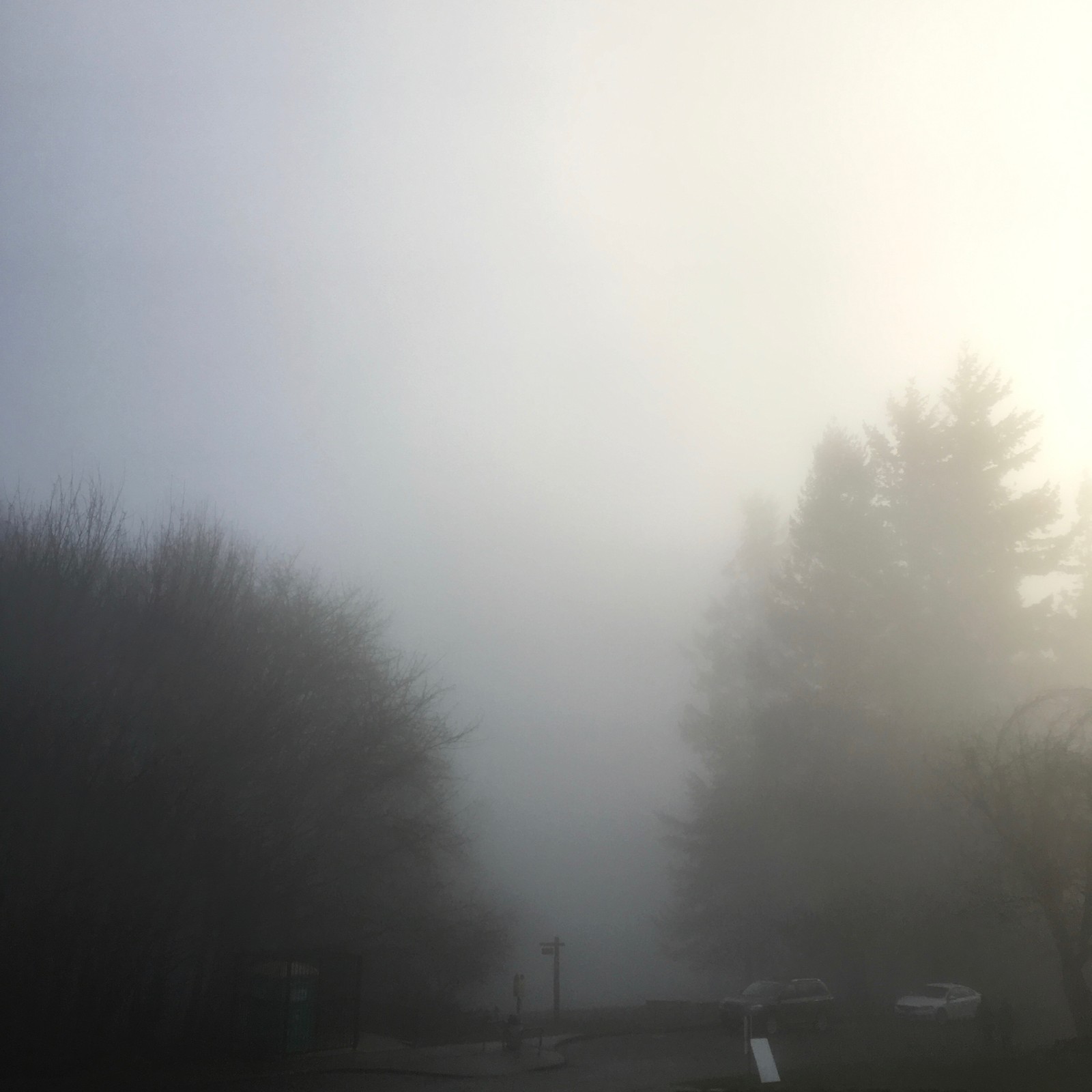 View from Council Crest toward Mt. Hood, which is NOT visible