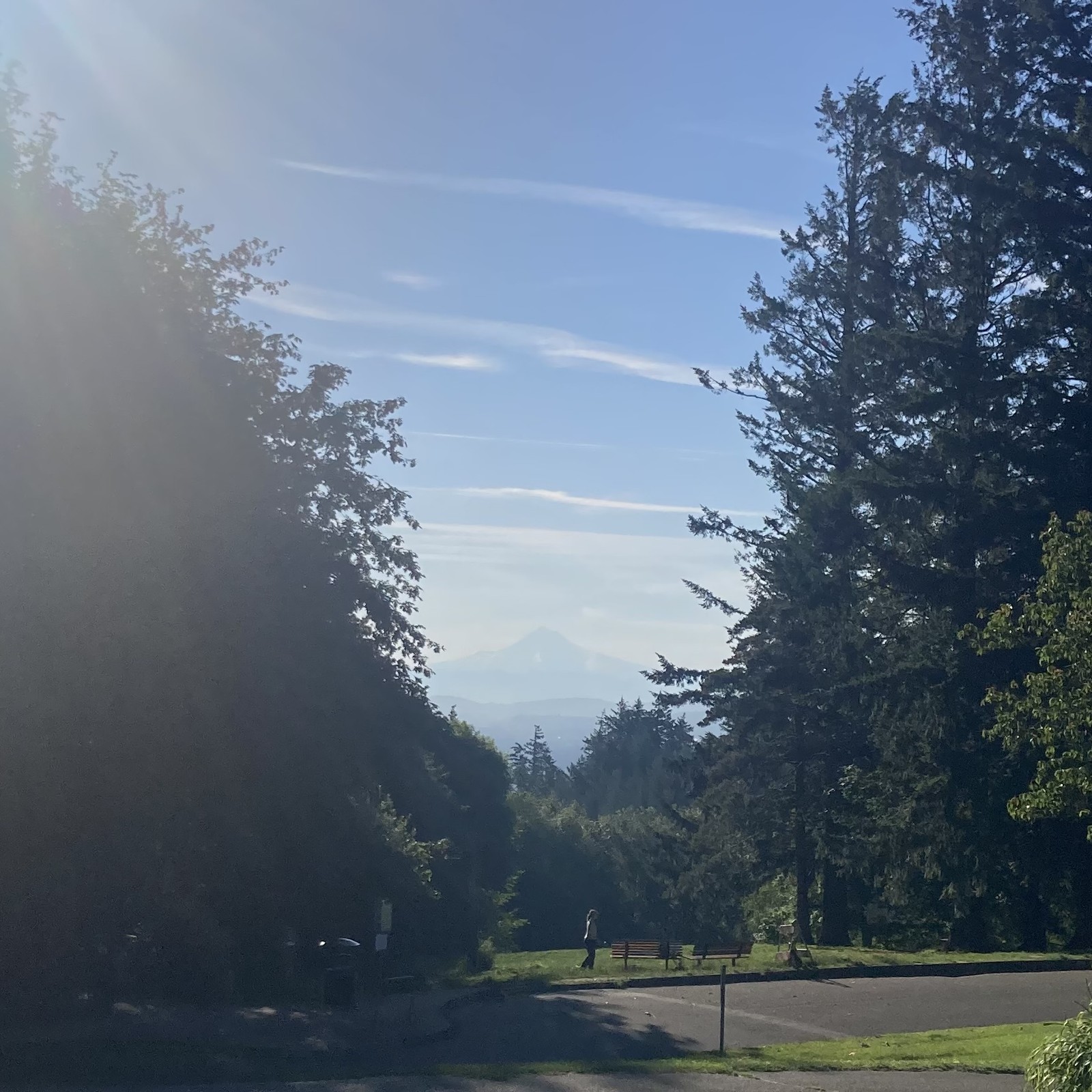 Mt. Hood visible as an outline with the late morning sun flaring into the camer