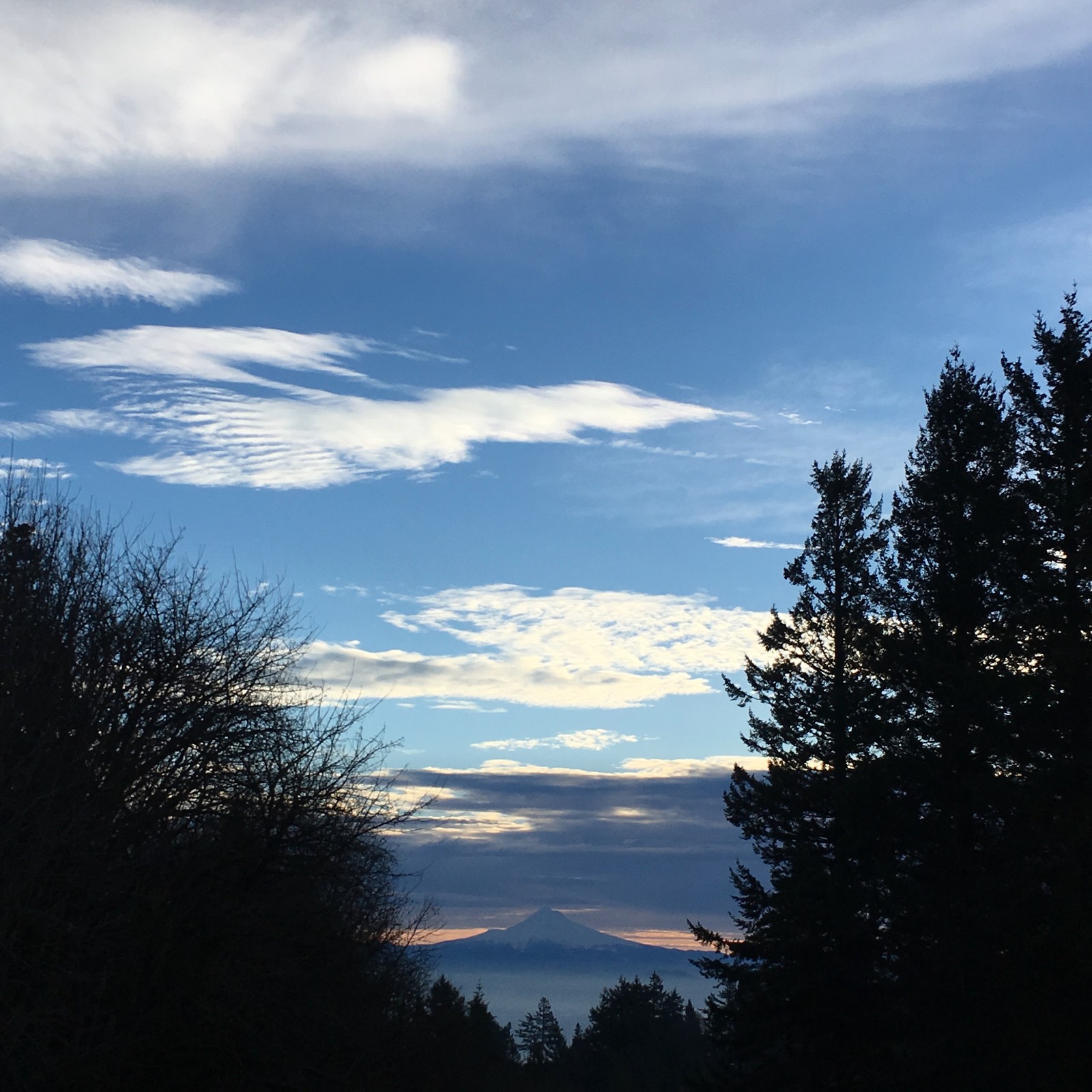 View from Council Crest toward Mt. Hood, which is visible