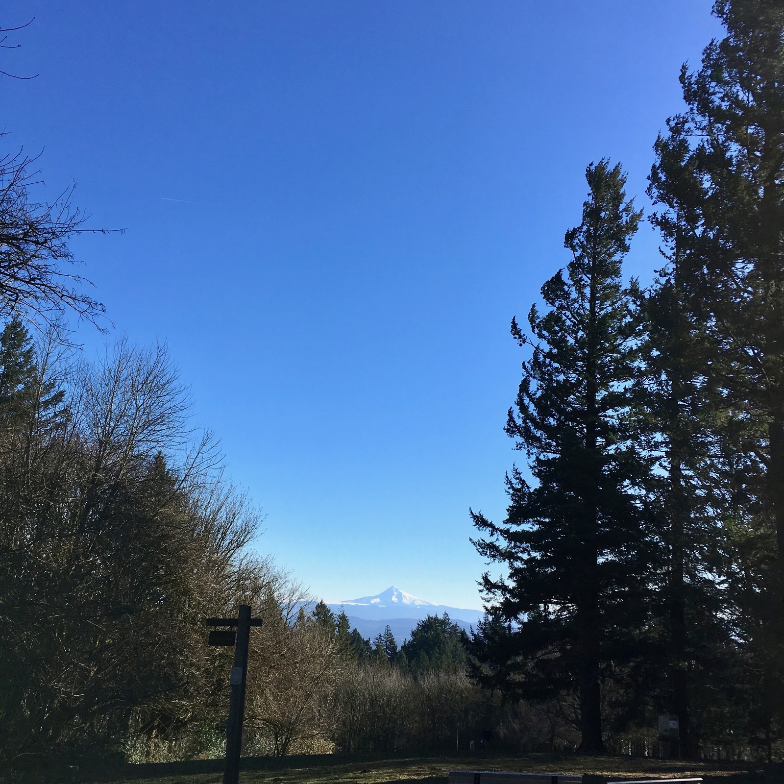 View from Council Crest toward Mt. Hood, which is visible