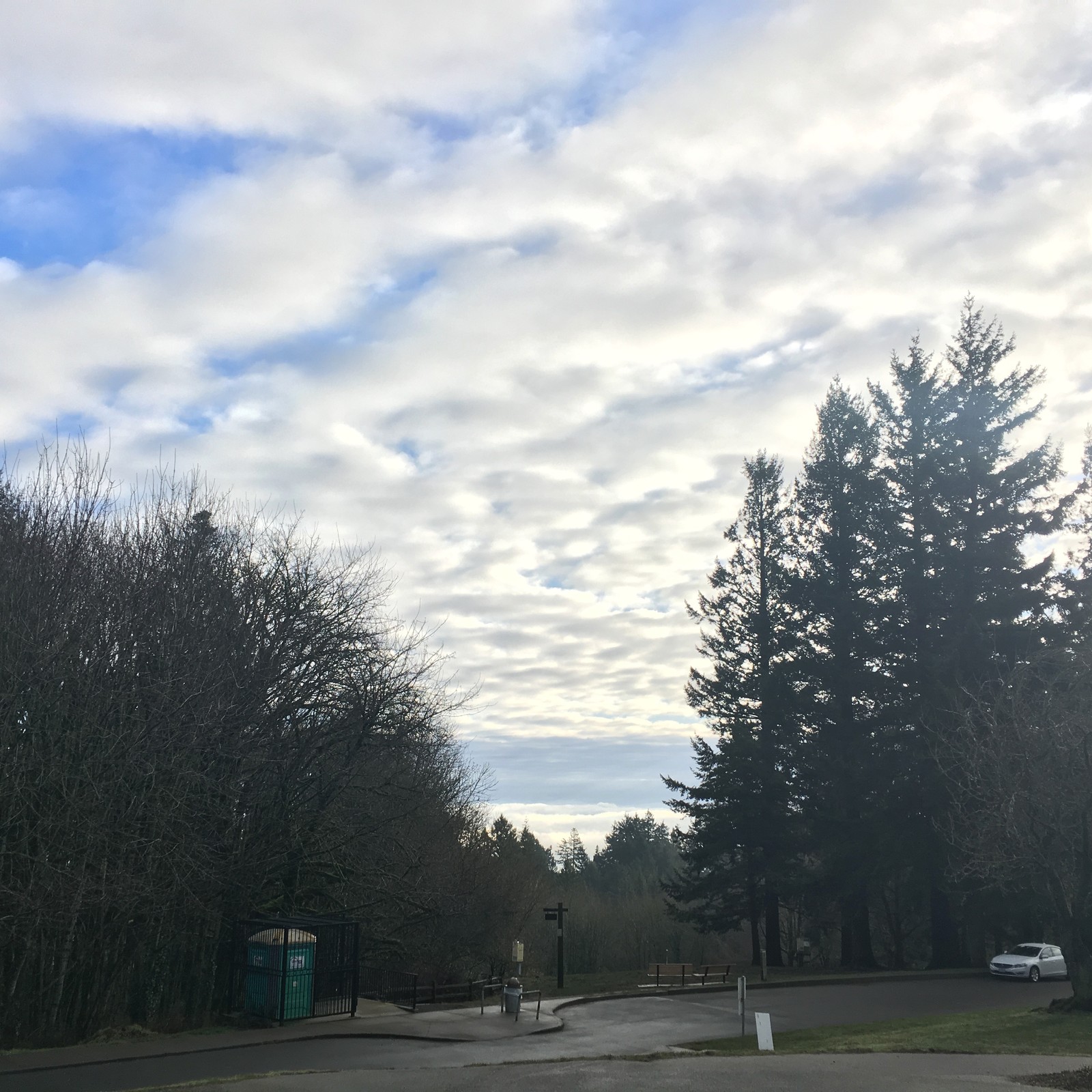 View from Council Crest toward Mt. Hood, which is NOT visible