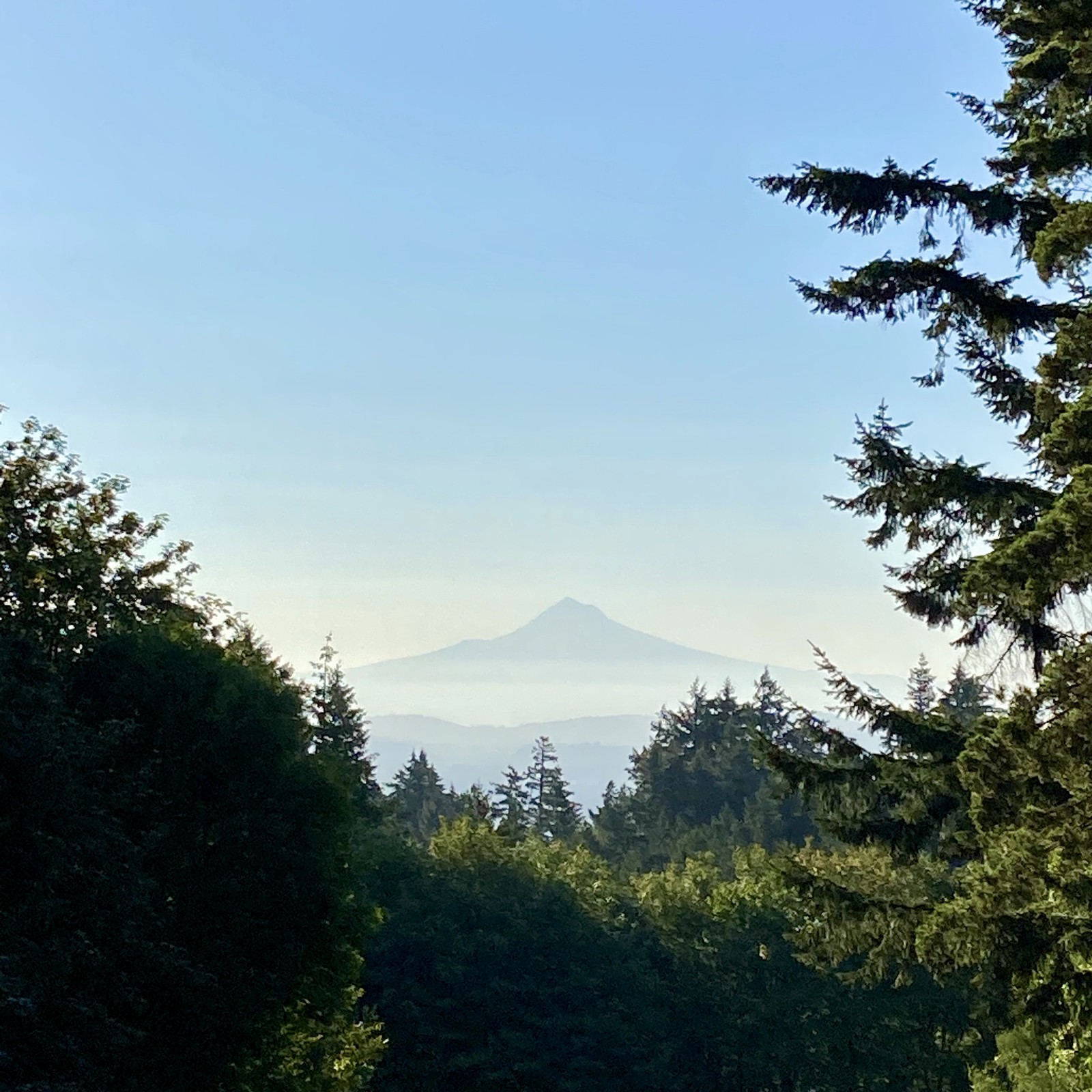 View from Council Crest toward Mt. Hood, which is visible