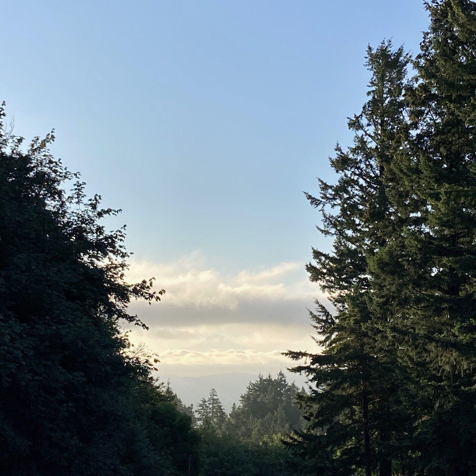 View from Council Crest toward Mt. Hood, which is visible