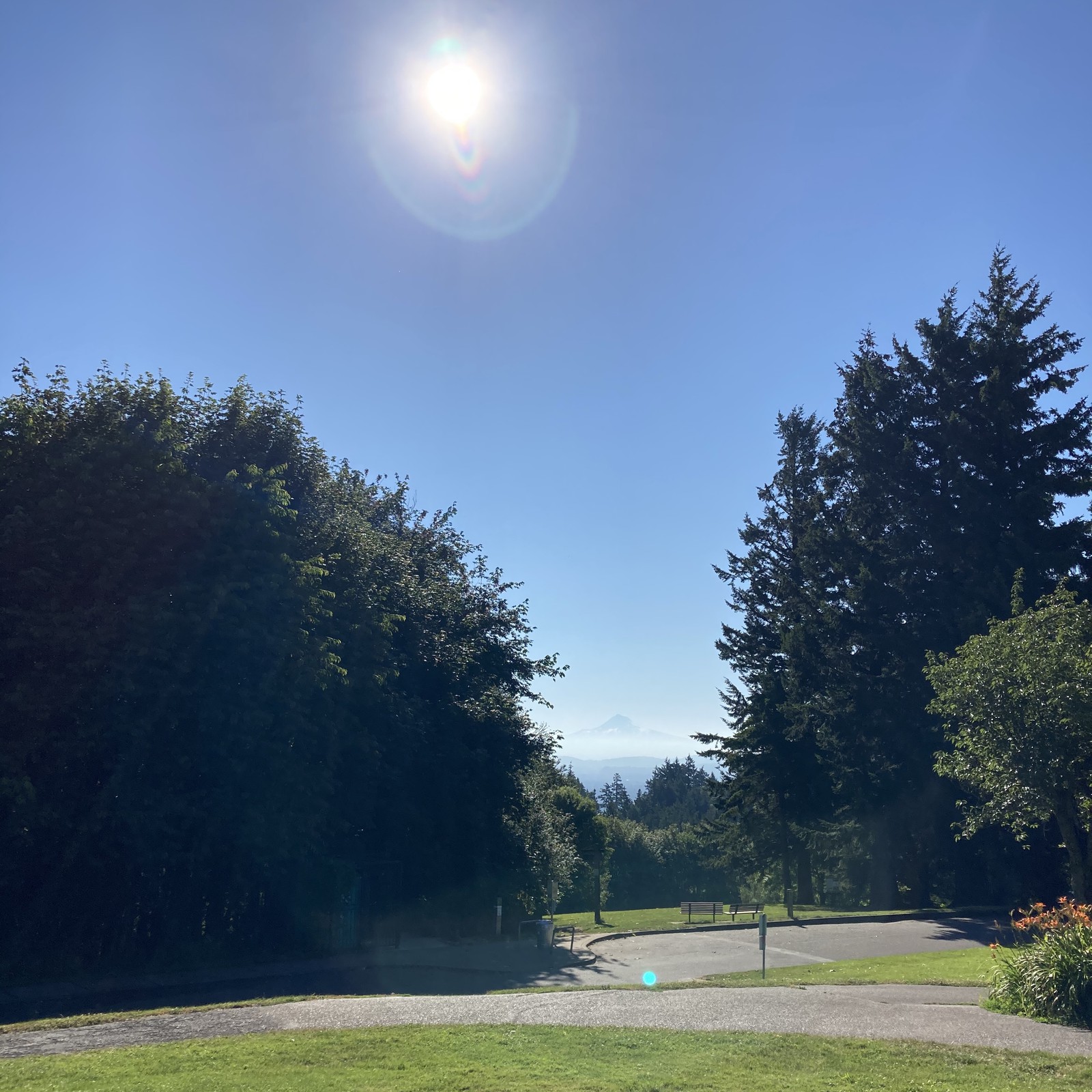 View from Council Crest toward Mt. Hood, which is visible