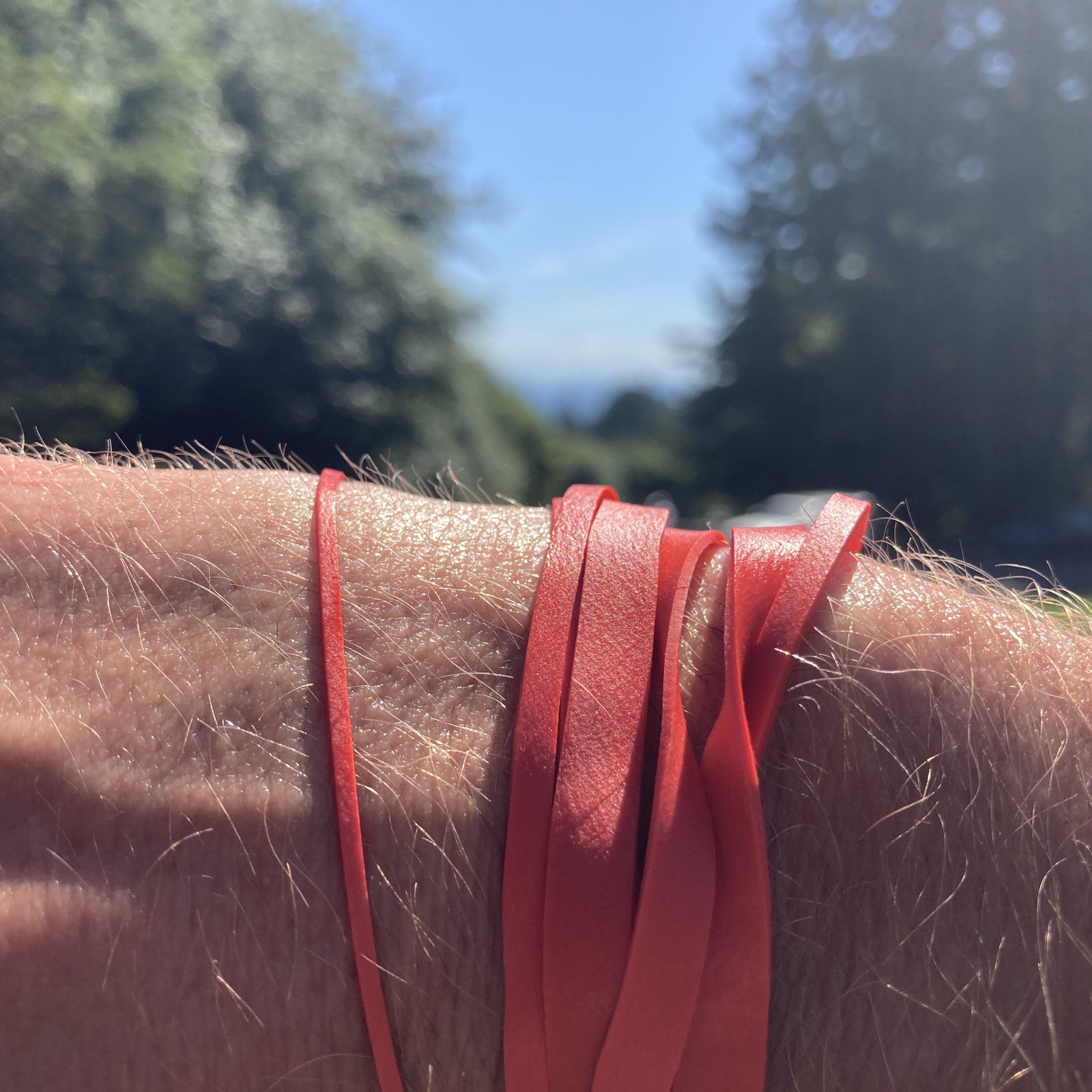 View from Council Crest toward Mt. Hood, which is visible