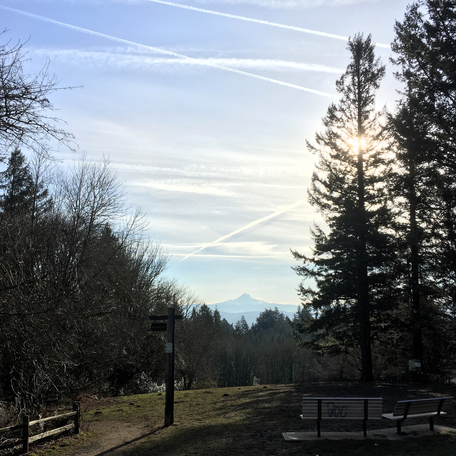 View from Council Crest toward Mt. Hood, which is visible