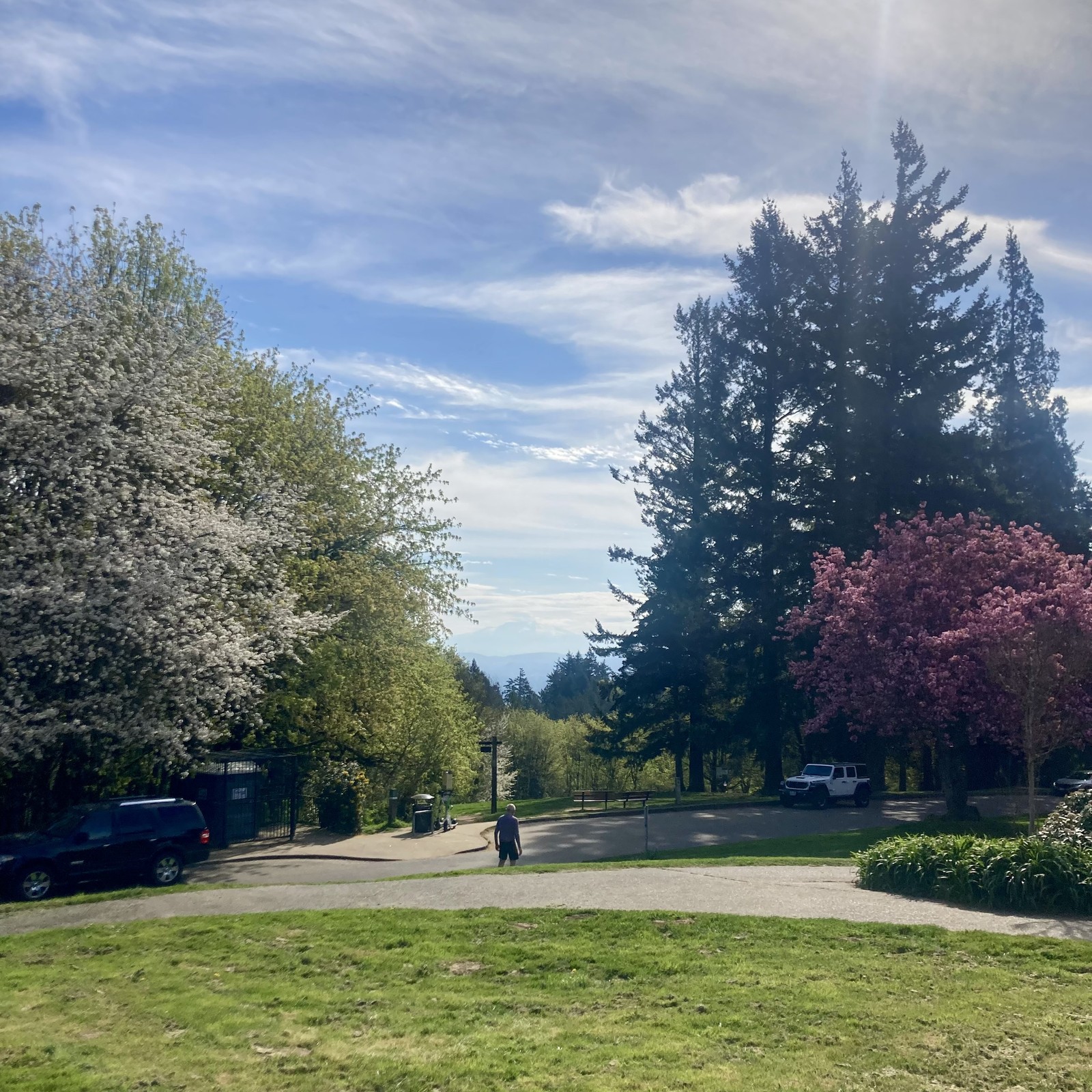Mountain barely visible through humidity and low clouds. Vegetation atomic green. Plum tree in near foreground at peak bloom