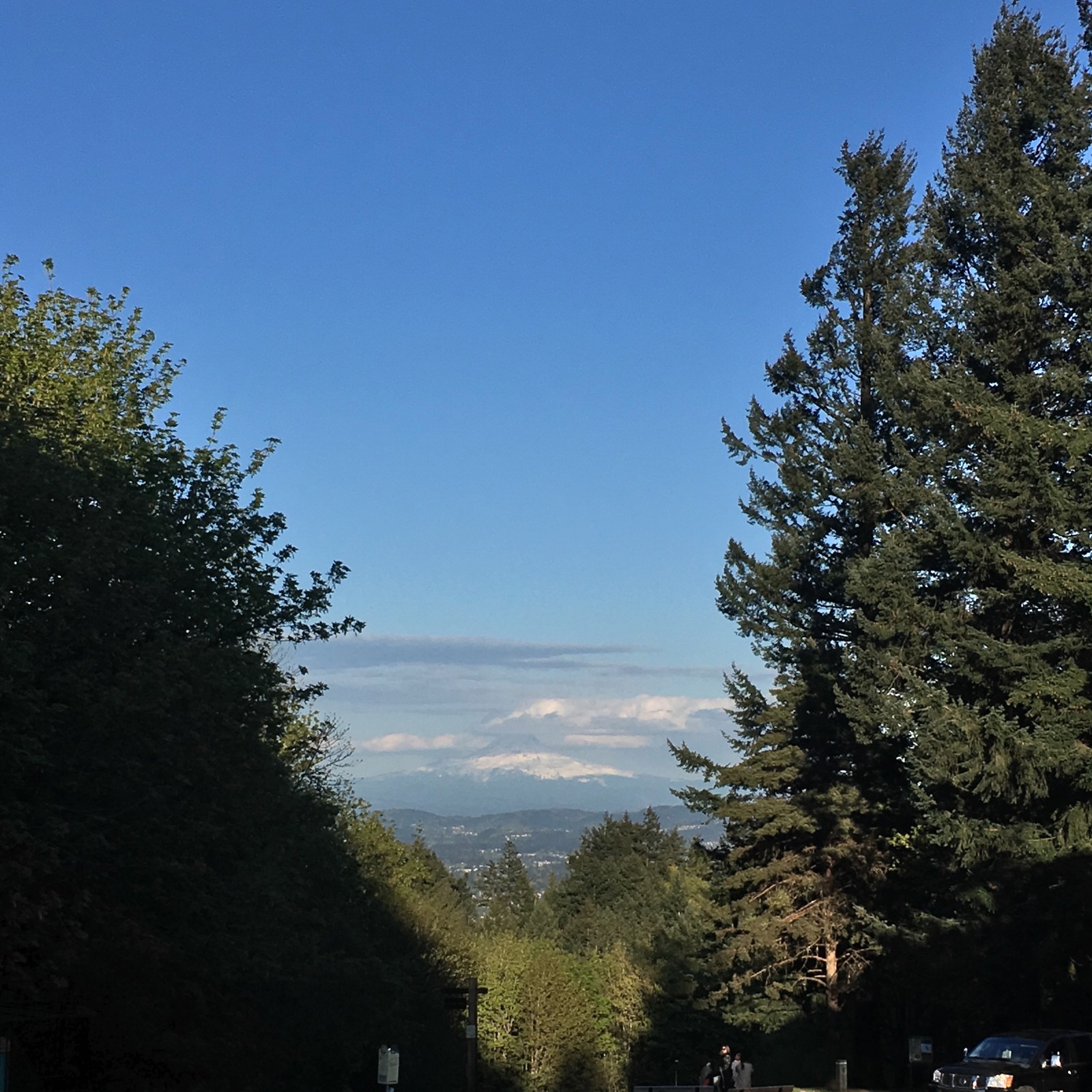 View from Council Crest toward Mt. Hood, which is visible