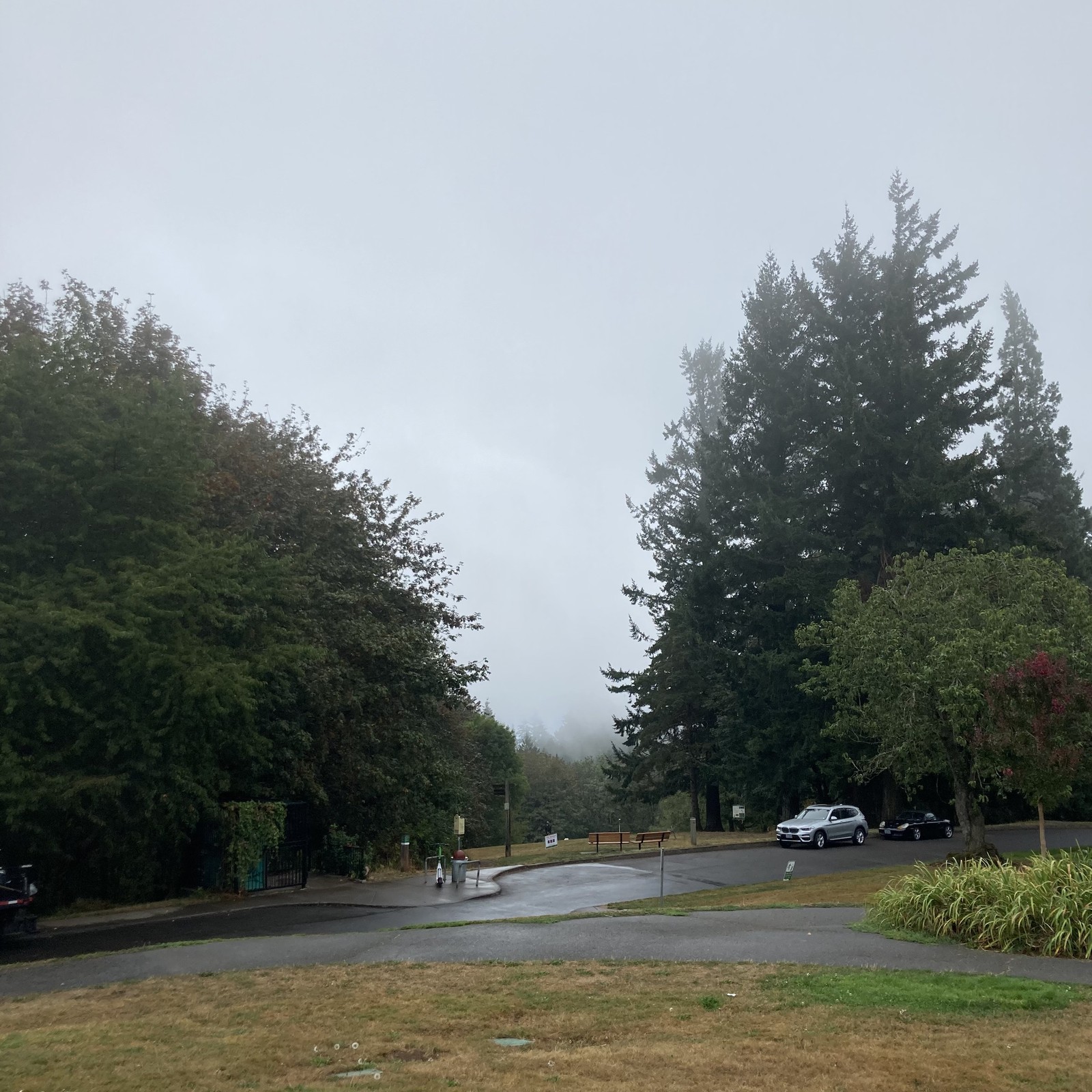 View from Council Crest toward Mt. Hood, which is NOT visible