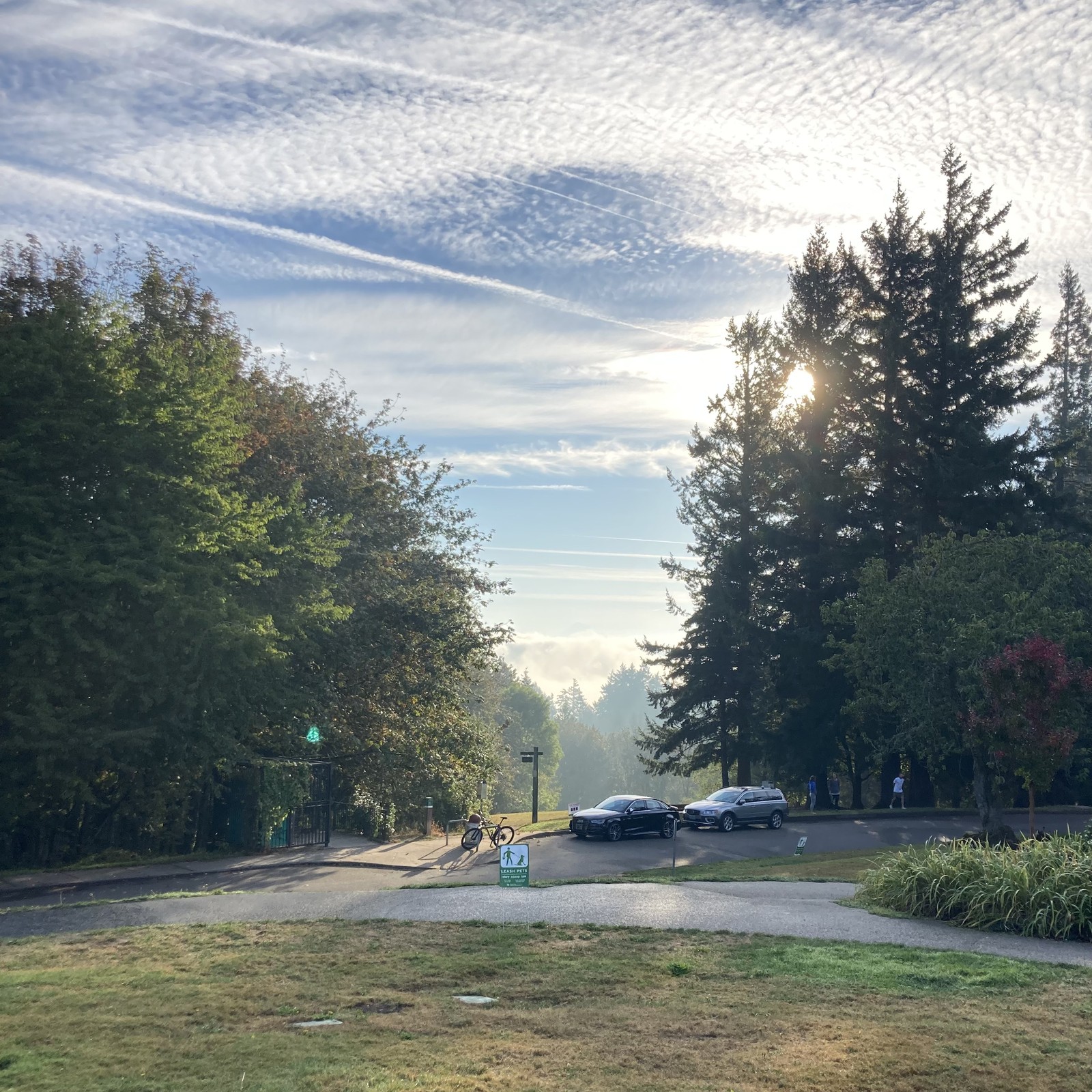View from Council Crest toward Mt. Hood, which is visible