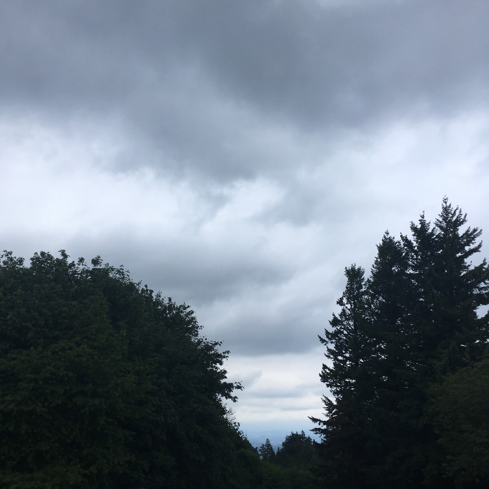 View from Council Crest toward Mt. Hood, which is NOT visible
