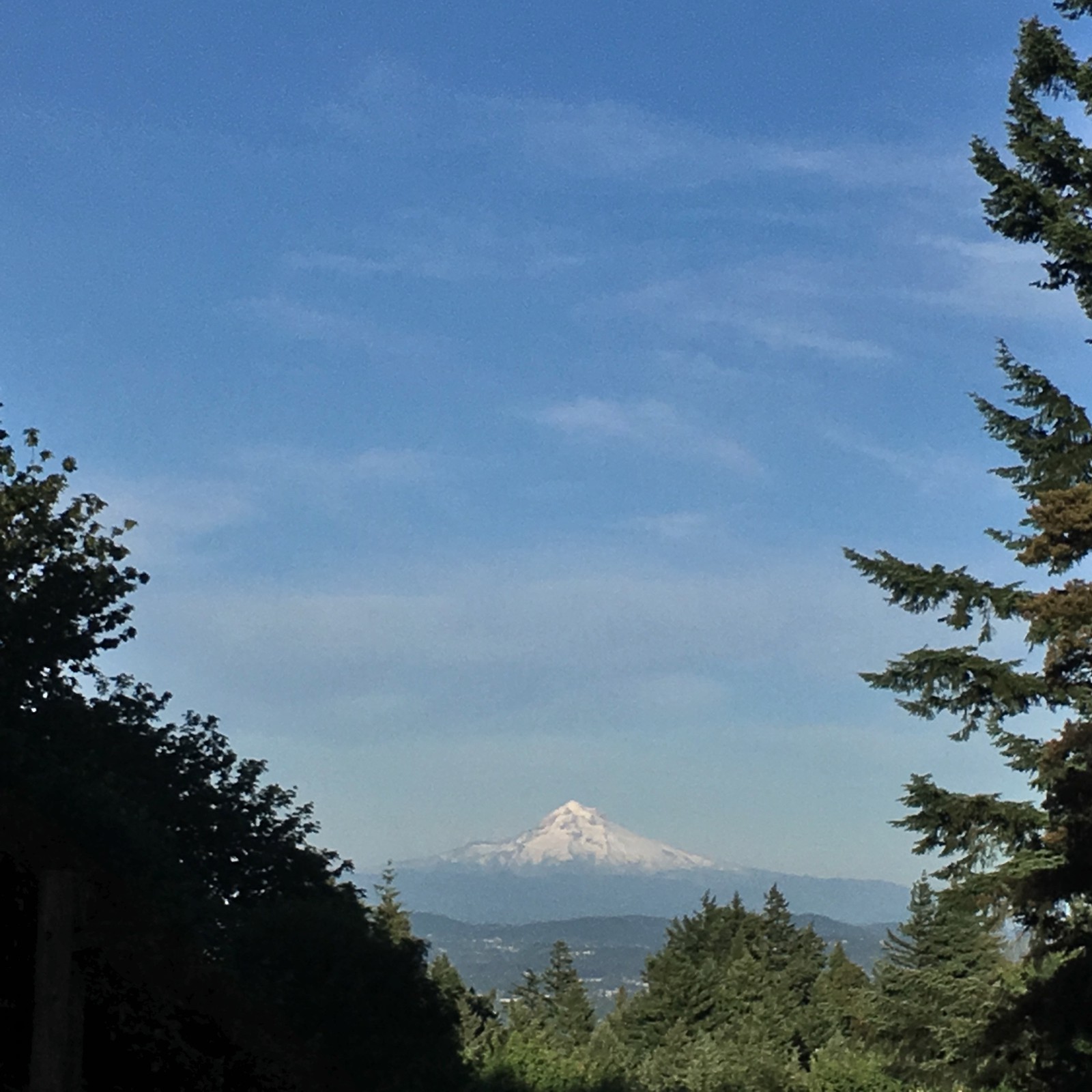 View from Council Crest toward Mt. Hood, which is visible