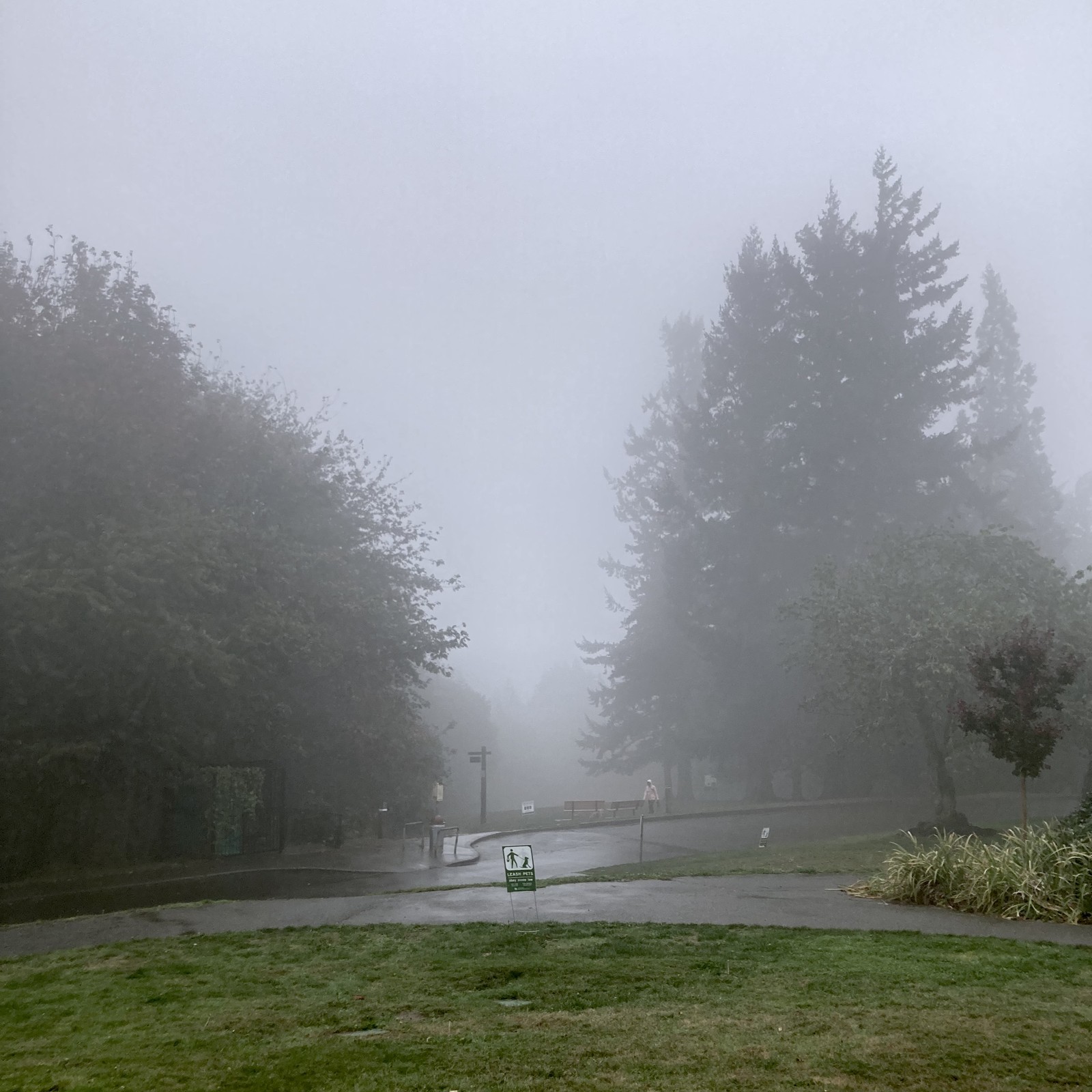 View from Council Crest toward Mt. Hood, which is NOT visible