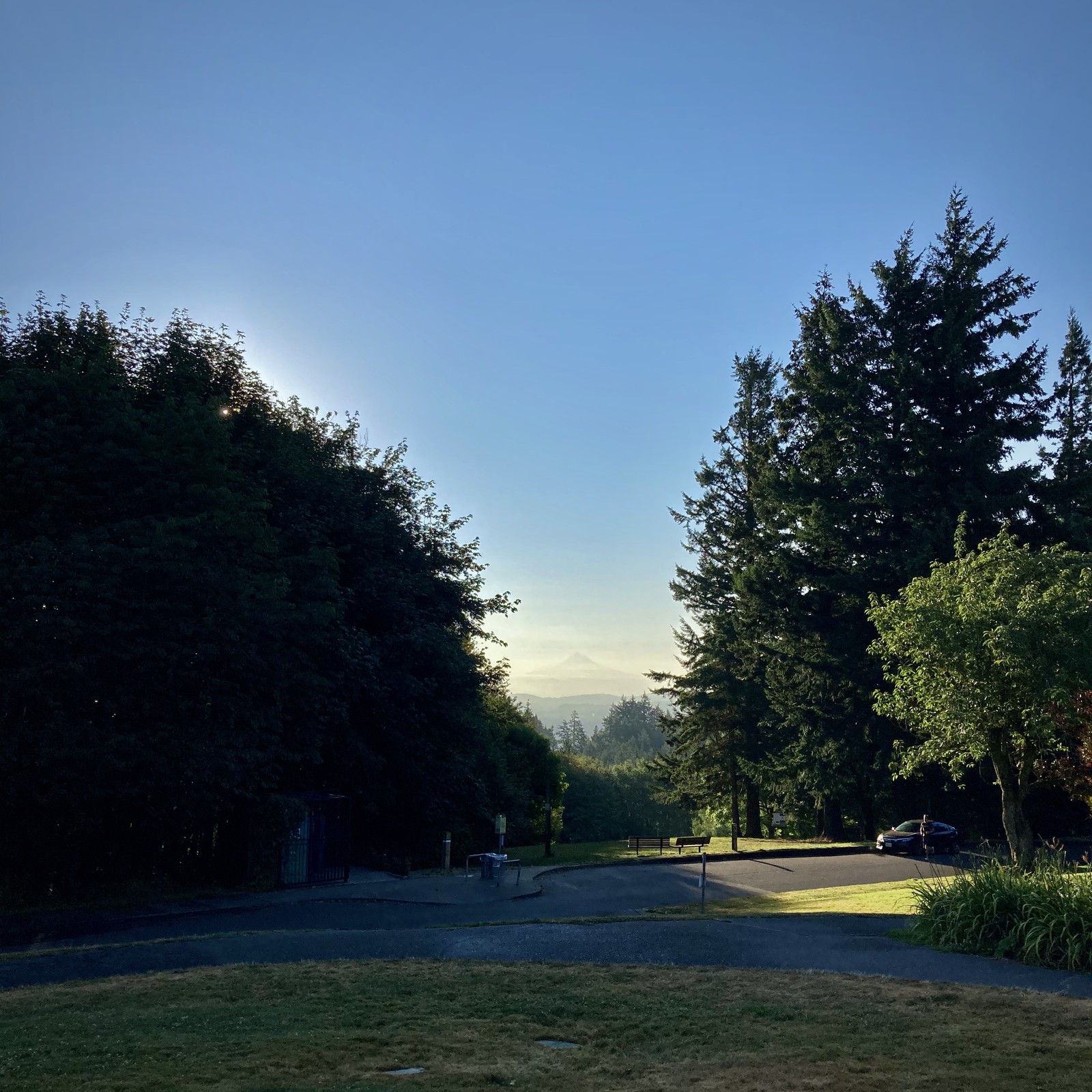 View from Council Crest toward Mt. Hood, which is visible