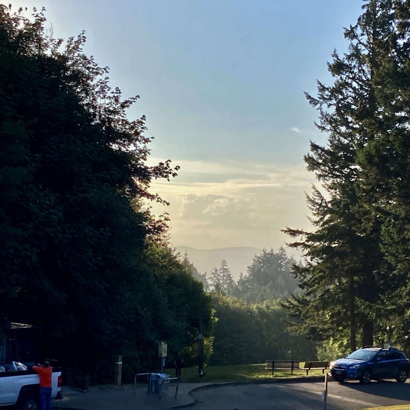 View from Council Crest toward Mt. Hood, which is visible
