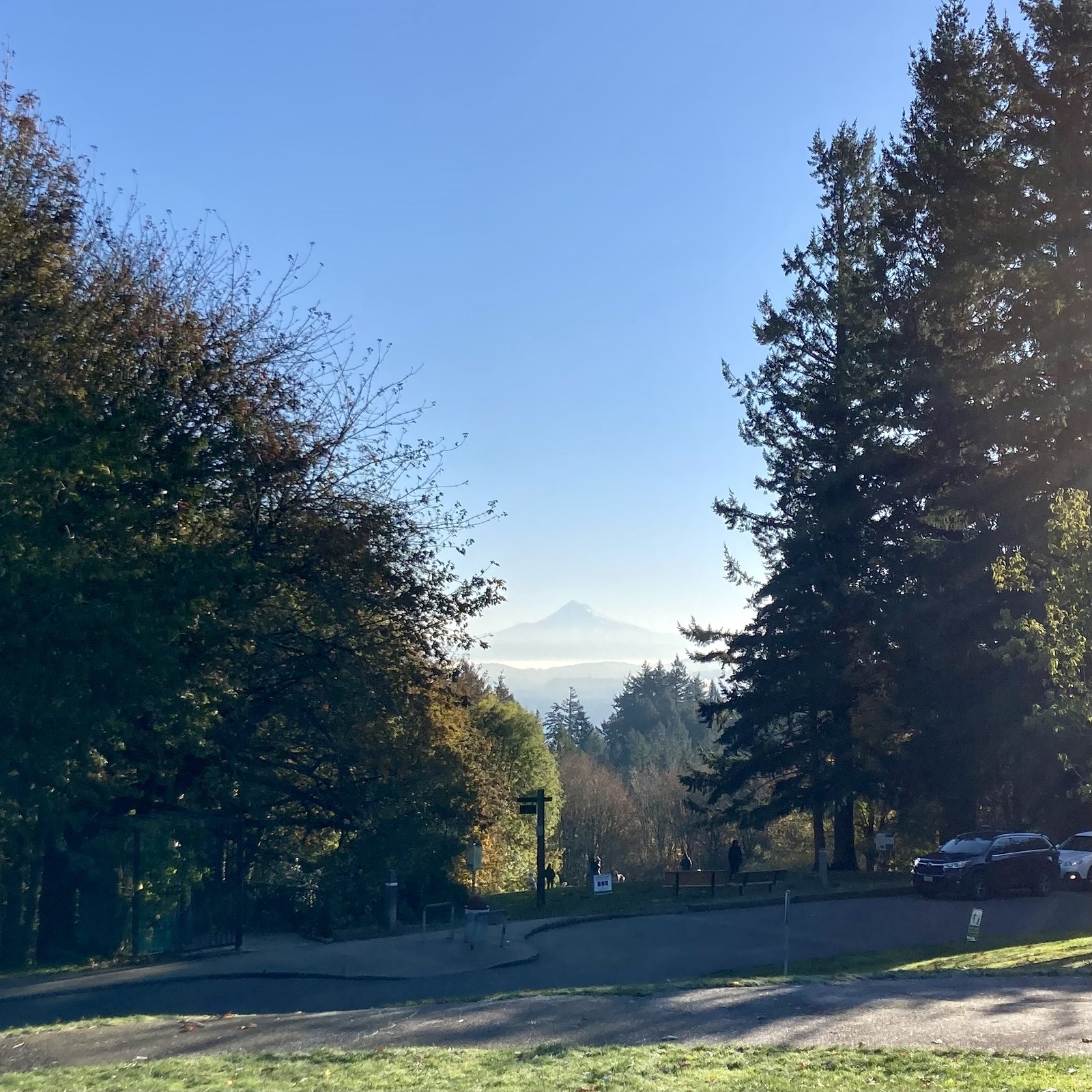 View from Council Crest toward Mt. Hood, which is visible