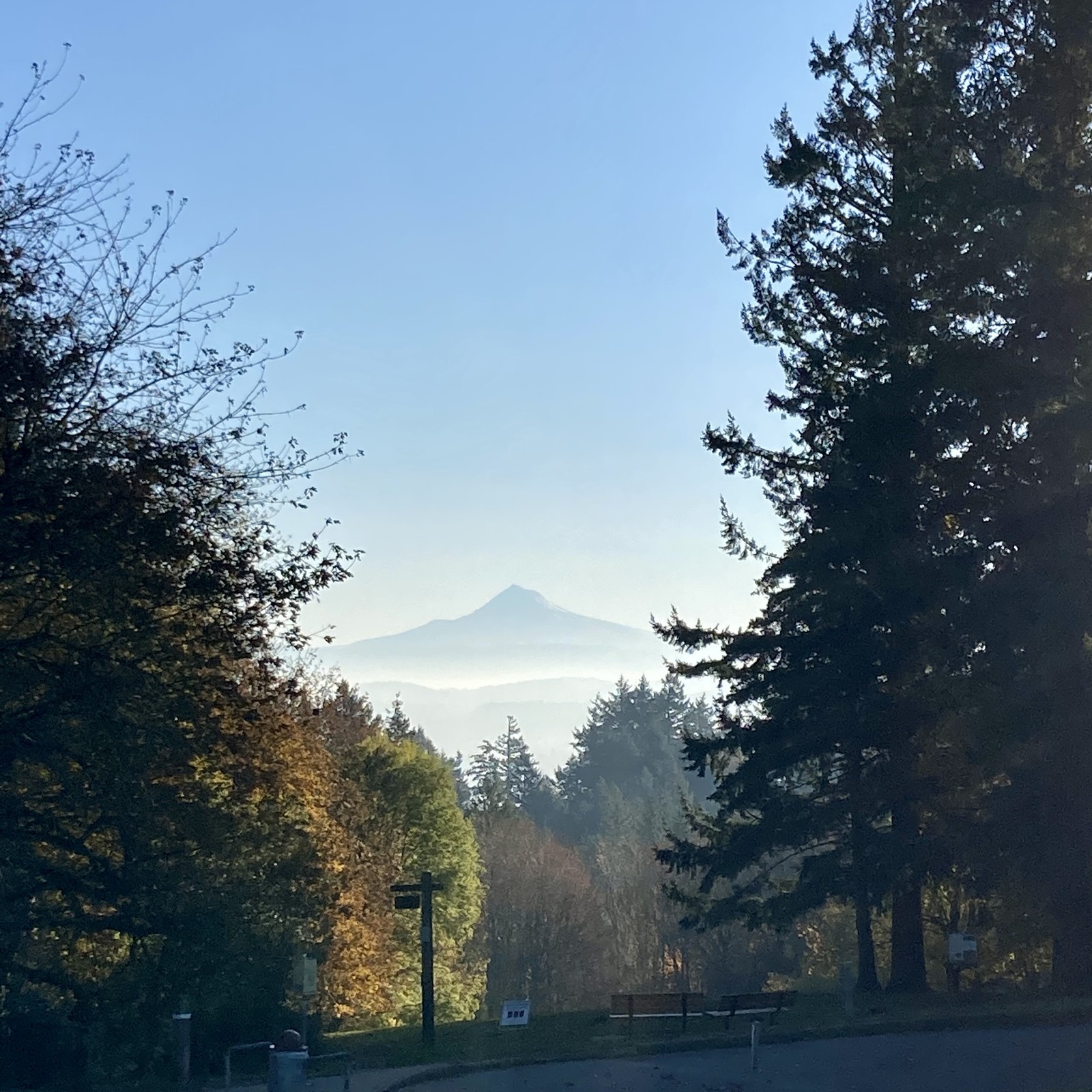View from Council Crest toward Mt. Hood, which is visible