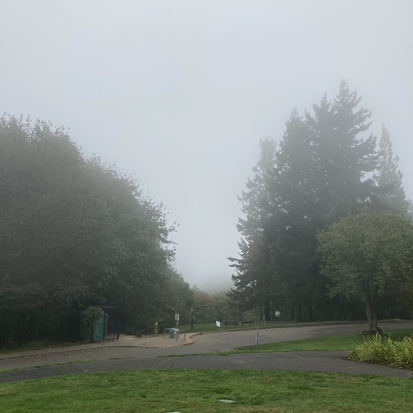 View from Council Crest toward Mt. Hood, which is NOT visible