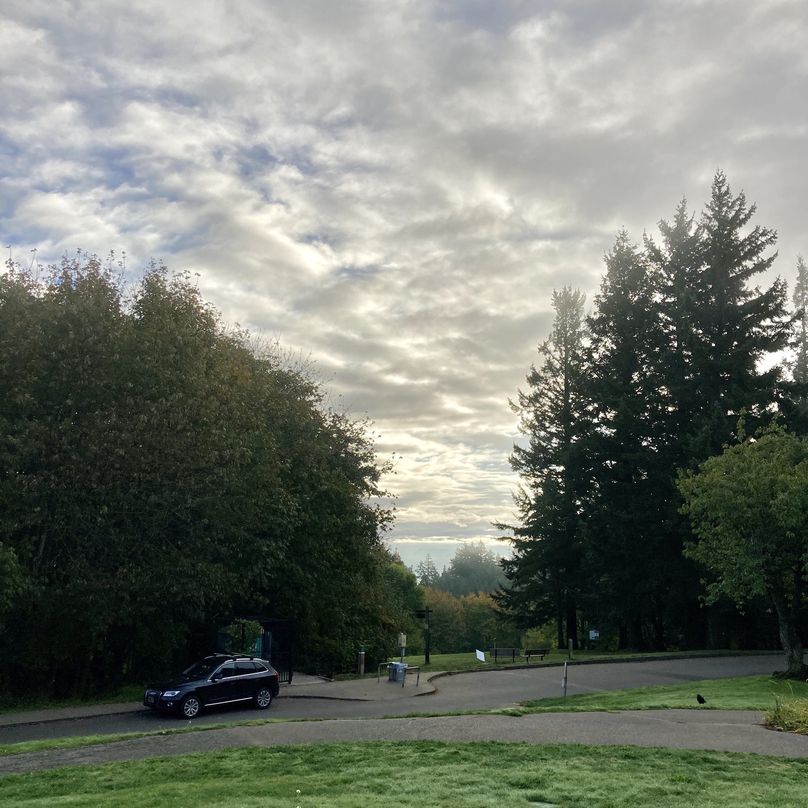 View from Council Crest toward Mt. Hood, which is NOT visible