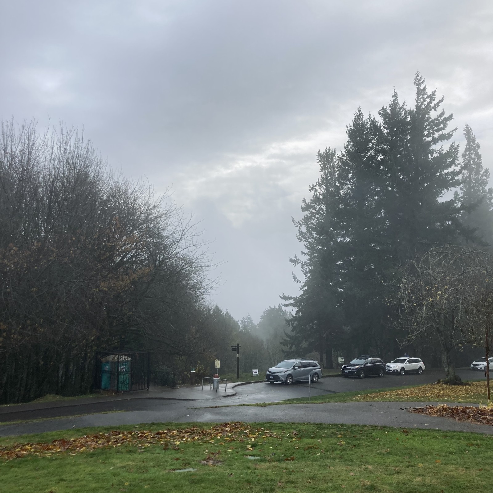 View from Council Crest Park toward Mt. Hood, which is hidden behind several layers of thick clouds. A loose mist veils trees in the near foreground.
