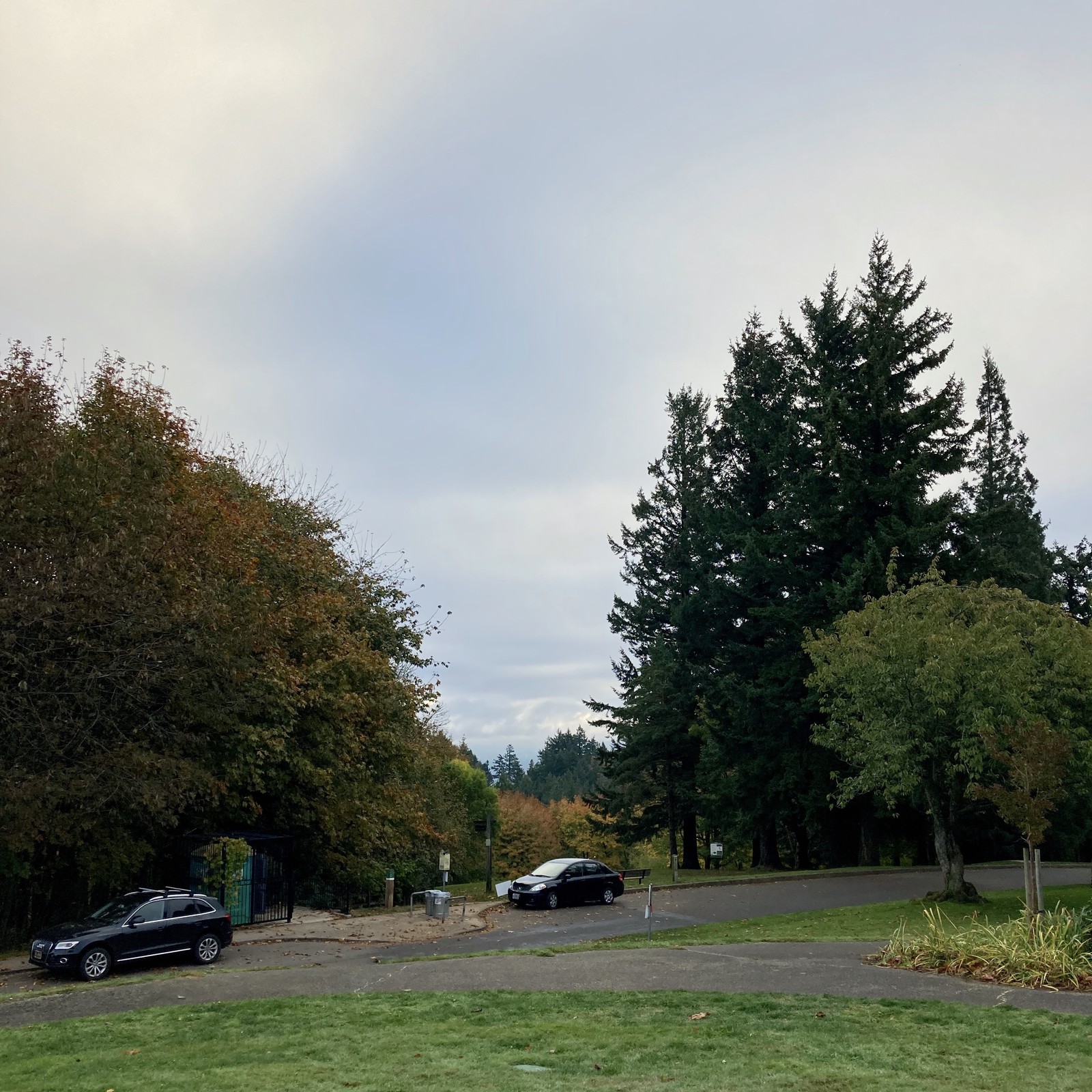 View from Council Crest toward Mt. Hood, which is NOT visible