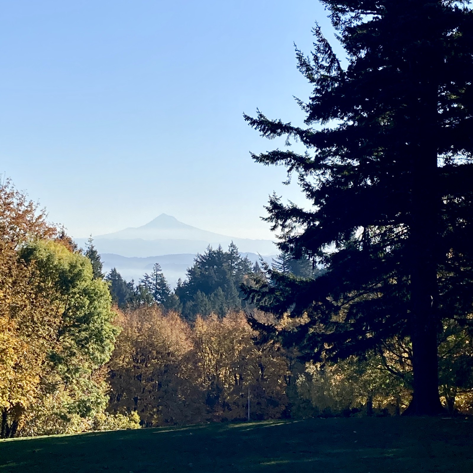 View from Council Crest toward Mt. Hood, which is visible