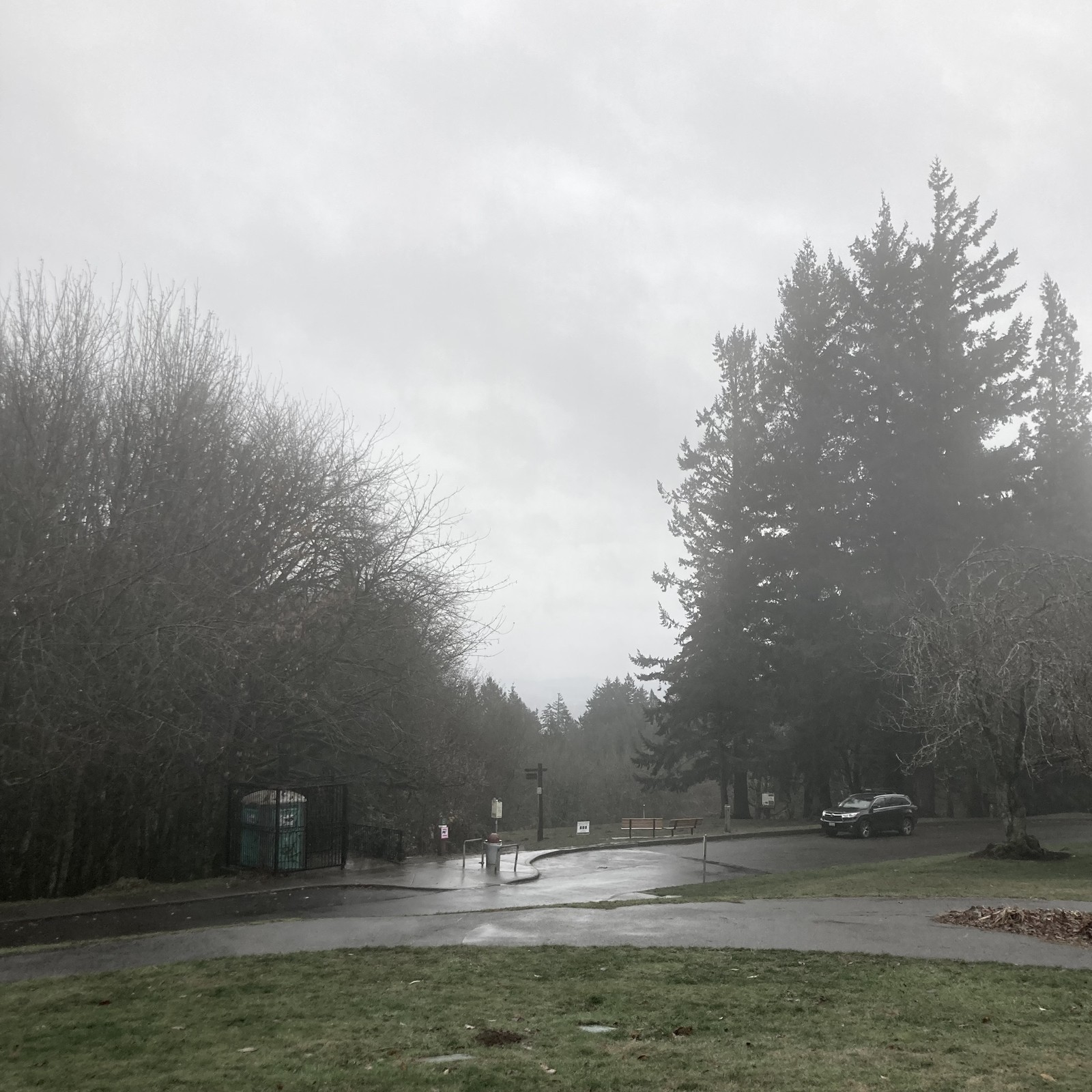 View from Council Crest park toward Mt. Hood, which is not visible behind a gray wall of rain and mist. A light rain obscures most of the scene; the pavement in the near foreground reflects the light of a mottled gray sky. Tall Douglas firs loom in the right near midground. Photo is somewhat desaturated with added contrast. The overall effect is of dampness and gray