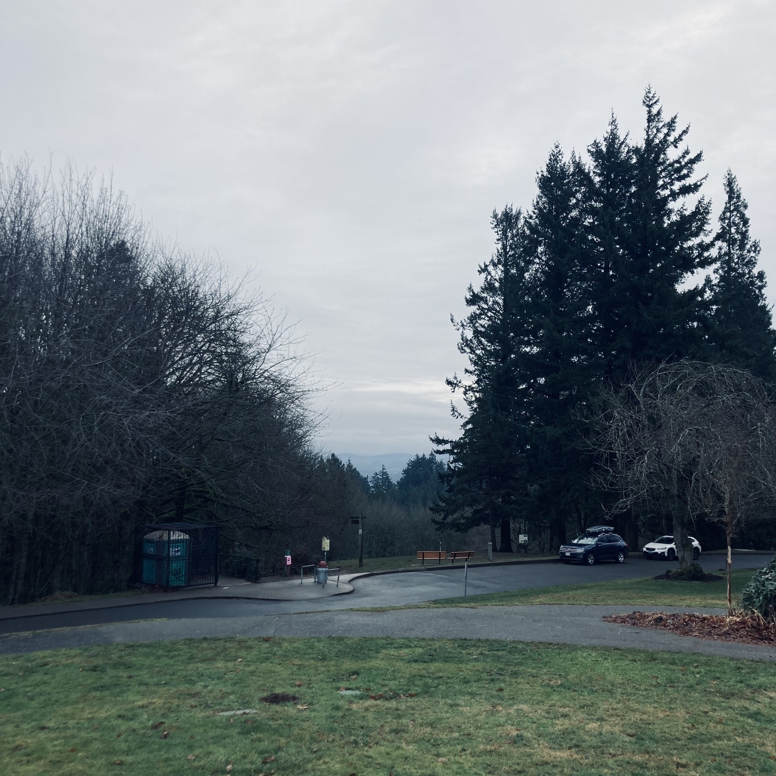 View from Council Crest Park toward Mt. Hood which is not visible. The usual winter light mist & lead gray sky. There are only so many ways I can describe this scene. Anyway this one has the “Dramatic cool” filter applied so it has a kind of gloomy, chilly vibe