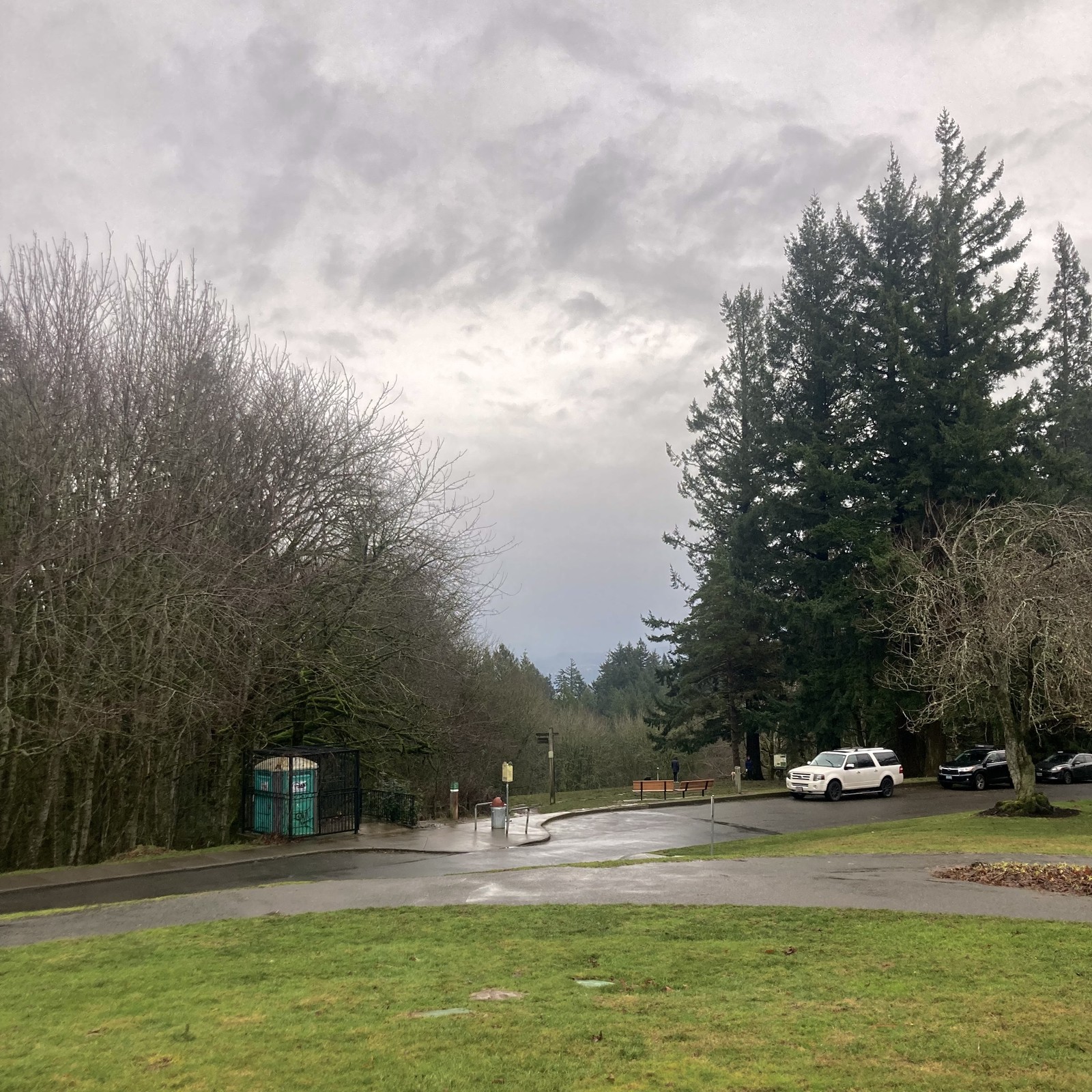 View from Council Crest Park toward Mt. Hood, which is veiled by an almost uniform distribution of light rain in the intervening distance. Sky overhead is similarly uniform except for ragged wisps of fog blowing slowly over the top of the hill. The air is seasonably temperate (50°F) and damp, the kind of cool marine air in which odors travel long distances